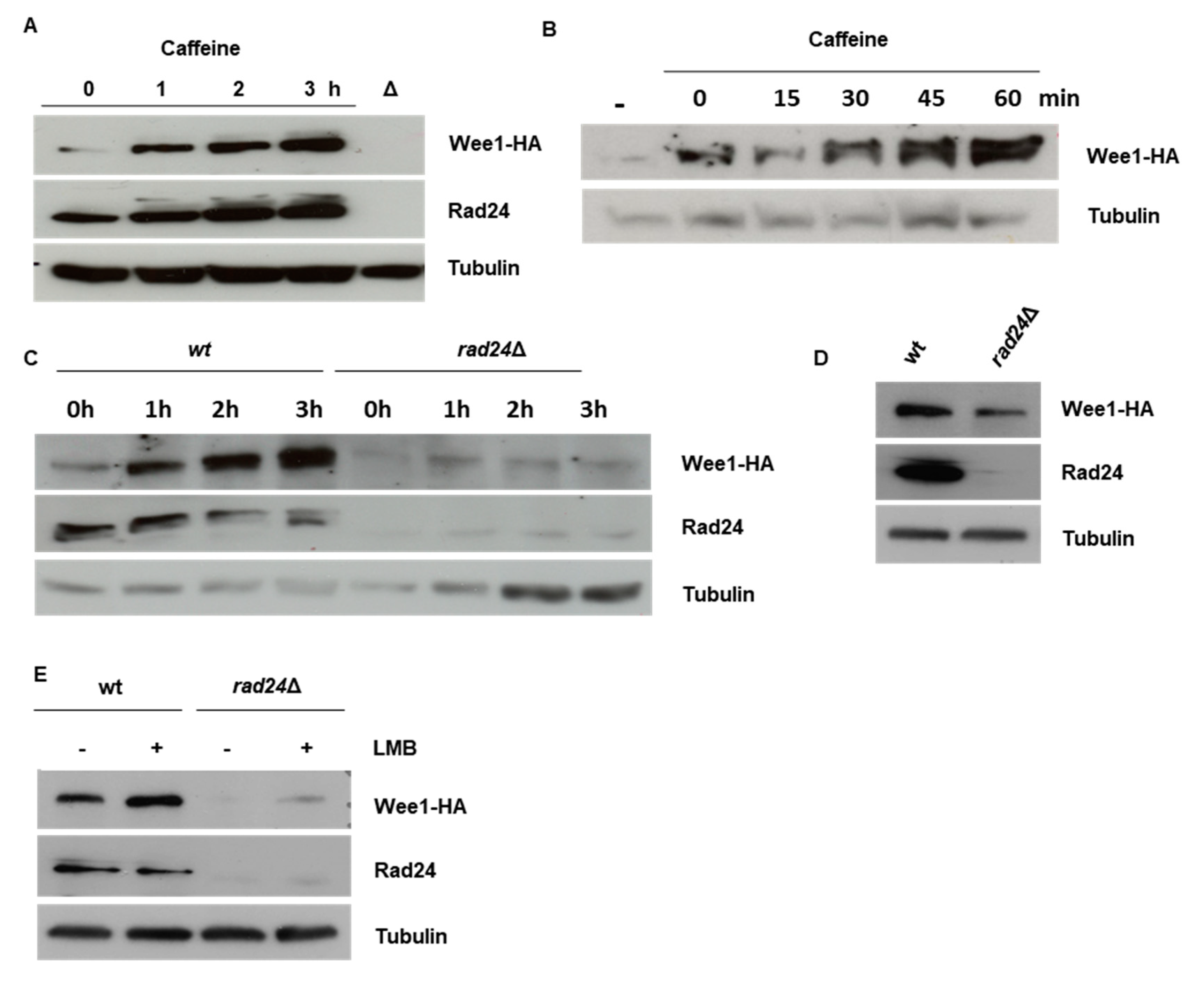 Microorganisms 08 01512 g002 Microorganisms 08 01512 g002