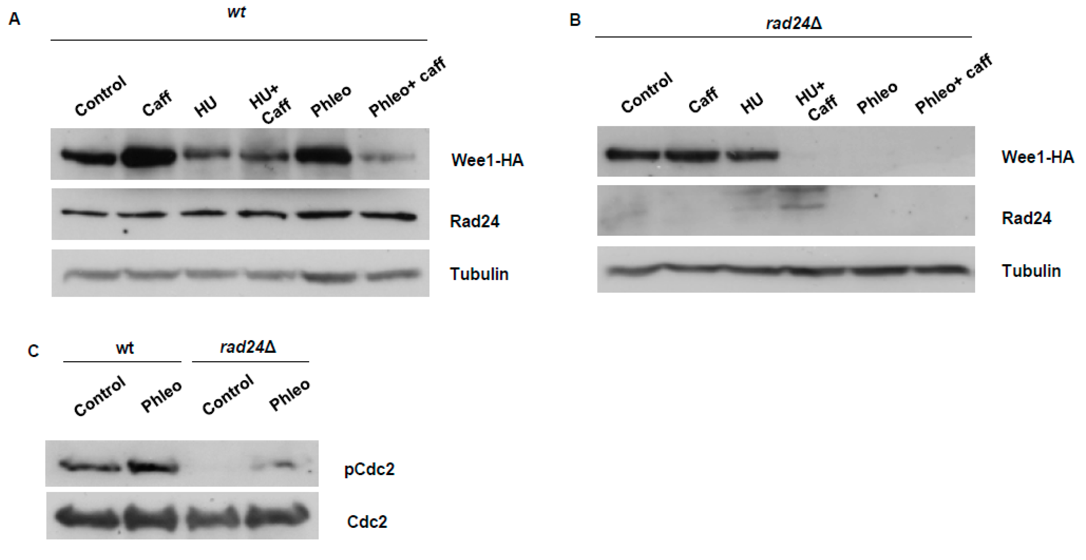 Microorganisms 08 01512 g003 Microorganisms 08 01512 g003