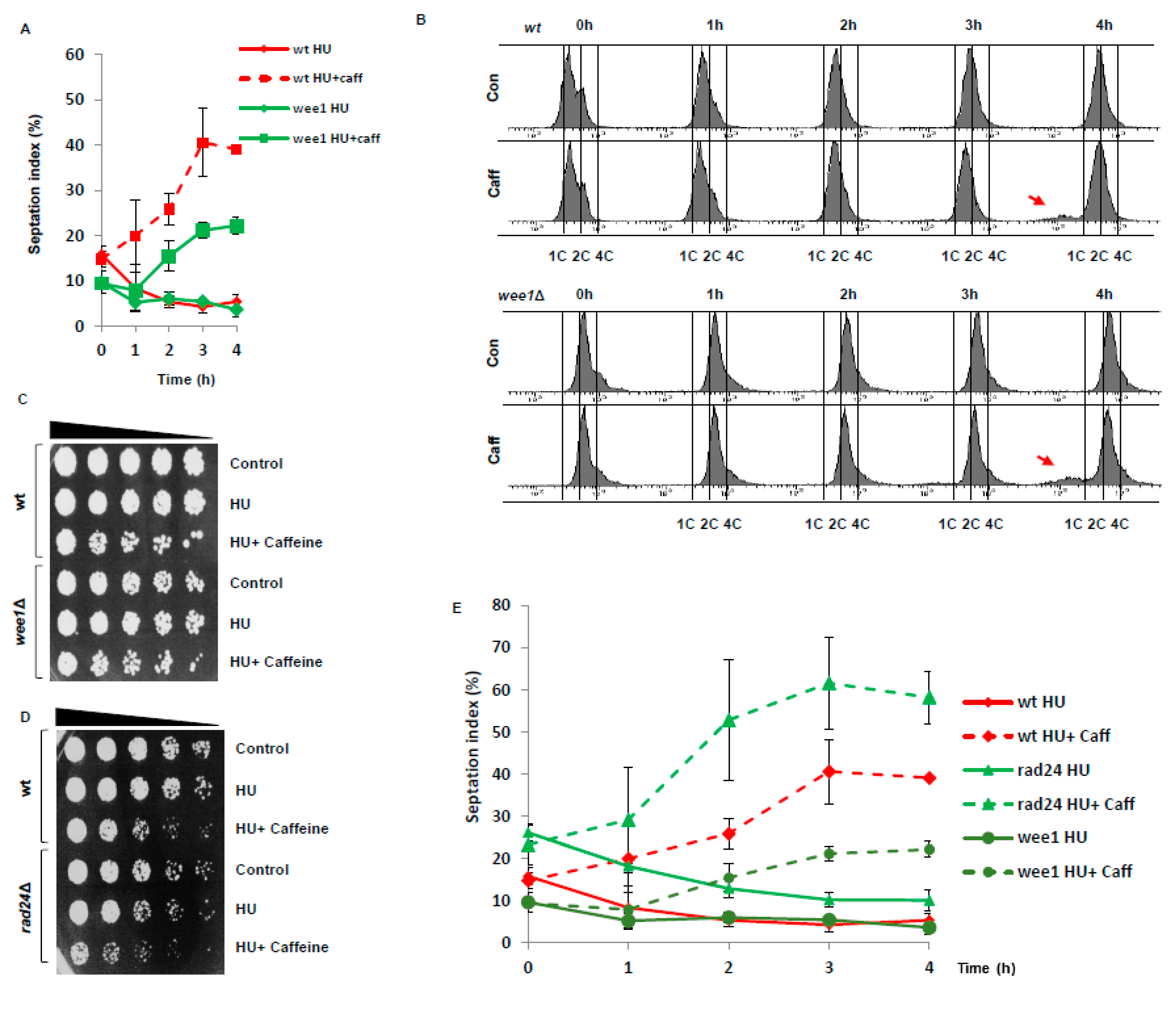 Microorganisms 08 01512 g004 Microorganisms 08 01512 g004