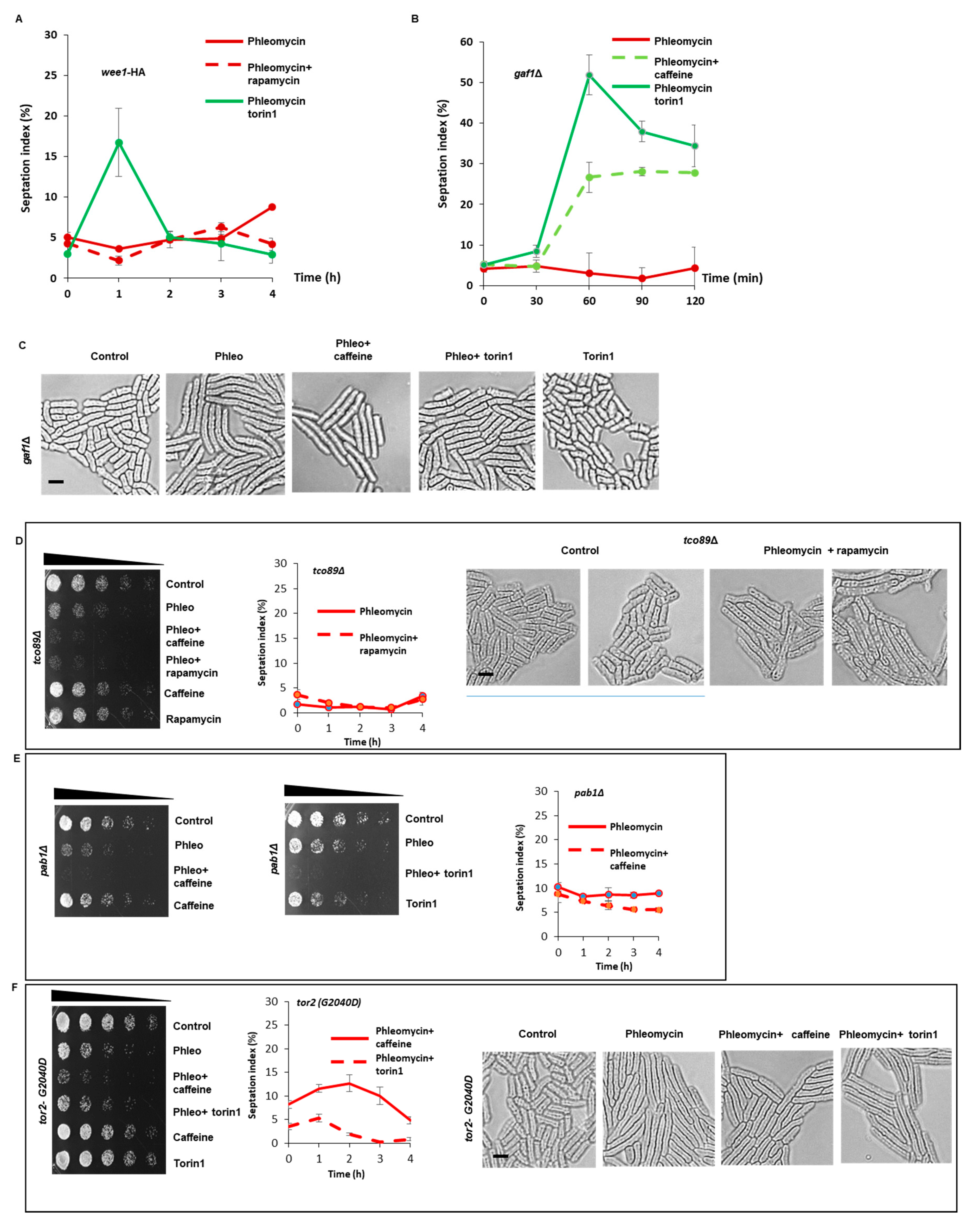Microorganisms 08 01512 g006 Microorganisms 08 01512 g006