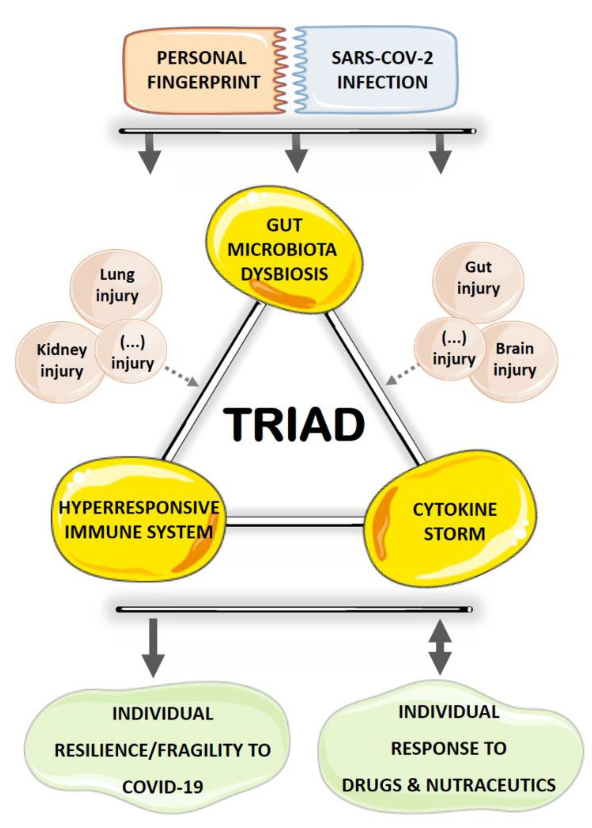 Microorganisms Free Full Text Gut Microbiota Dysbiosis Immune Hyperresponse Inflammation Triad In Coronavirus Disease 19 Covid 19 Impact Of Pharmacological And Nutraceutical Approaches Html