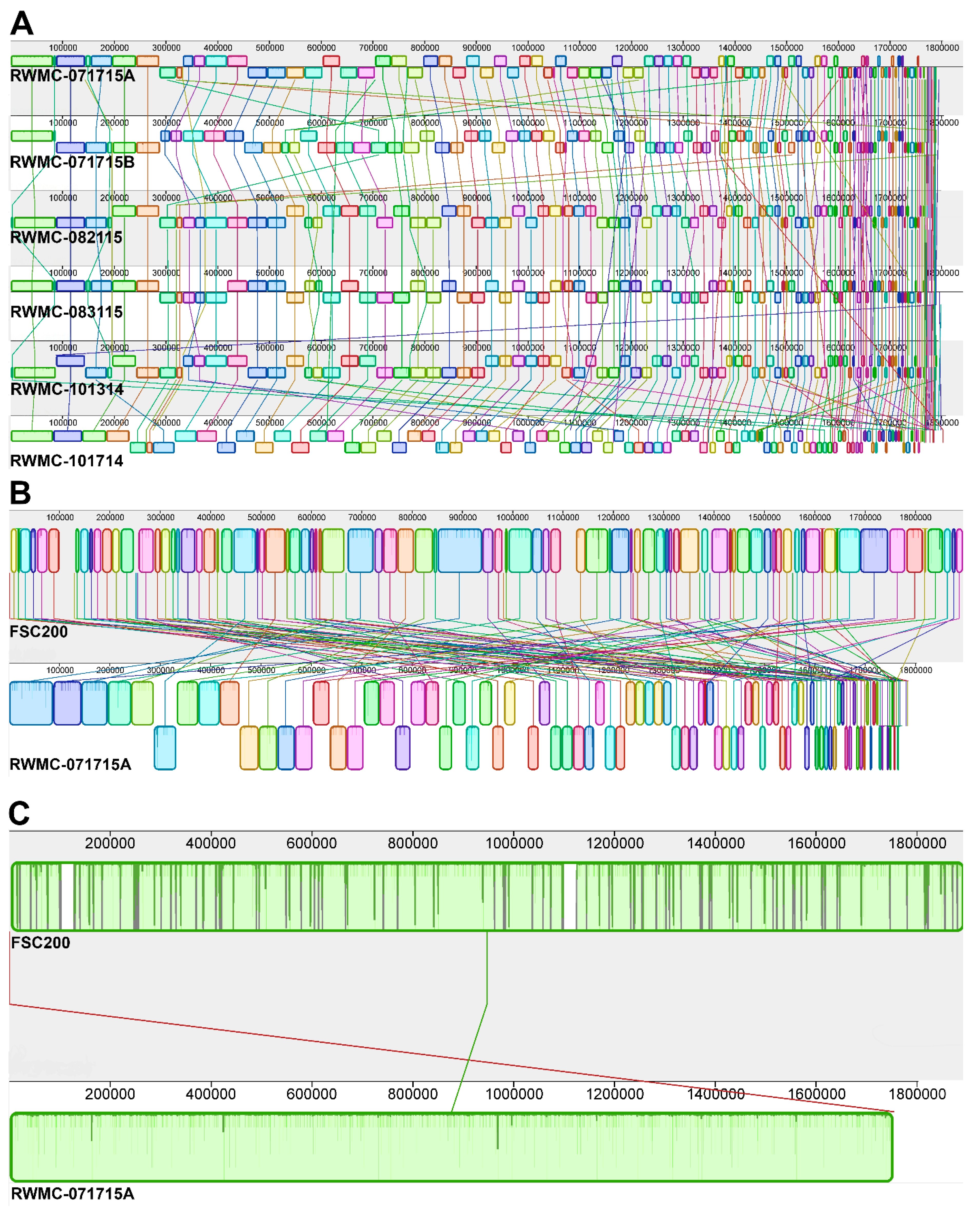 Microorganisms 08 01515 g001 Microorganisms 08 01515 g001