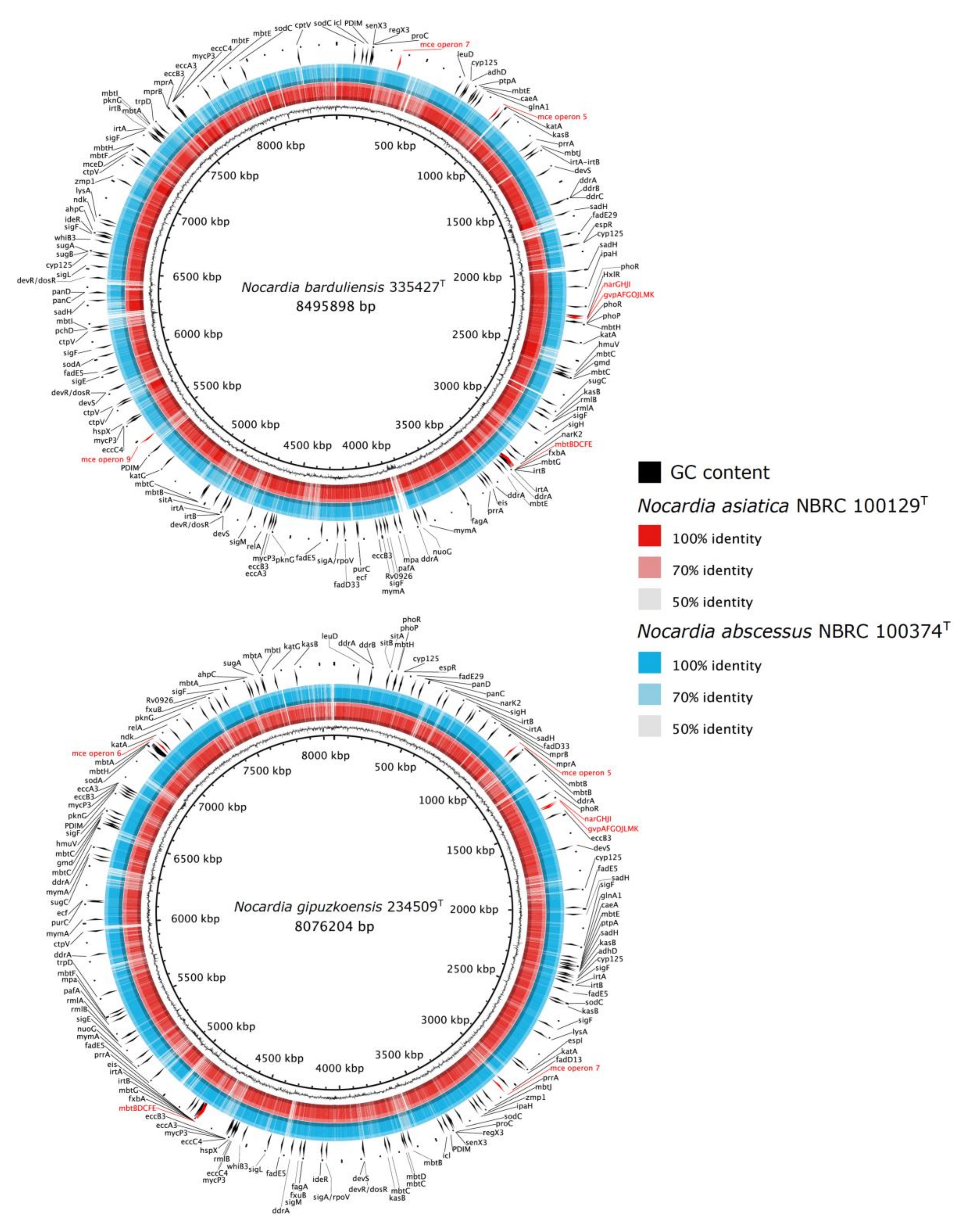 Microorganisms 08 01517 g002