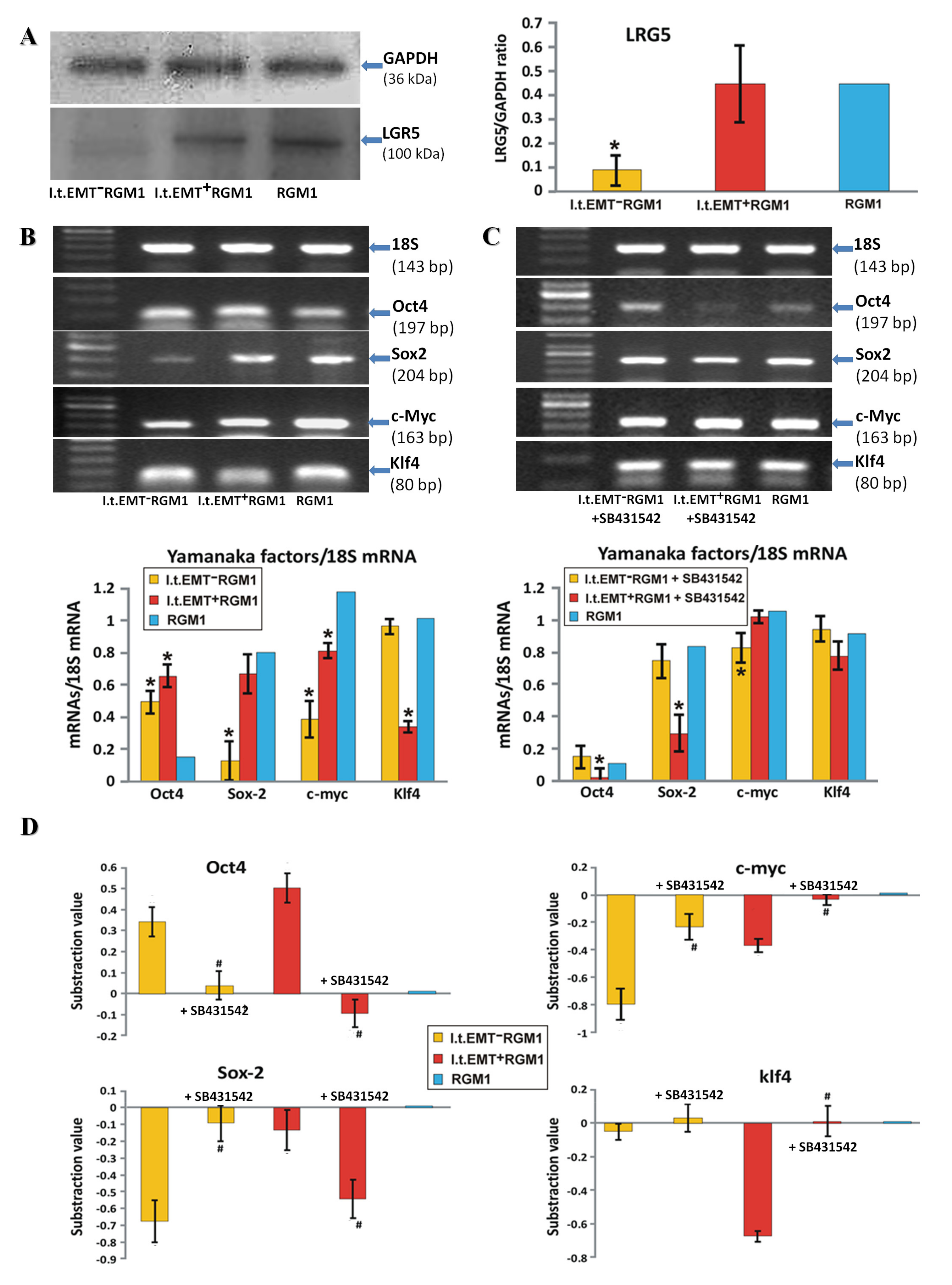 Microorganisms 08 01519 g003 Microorganisms 08 01519 g003