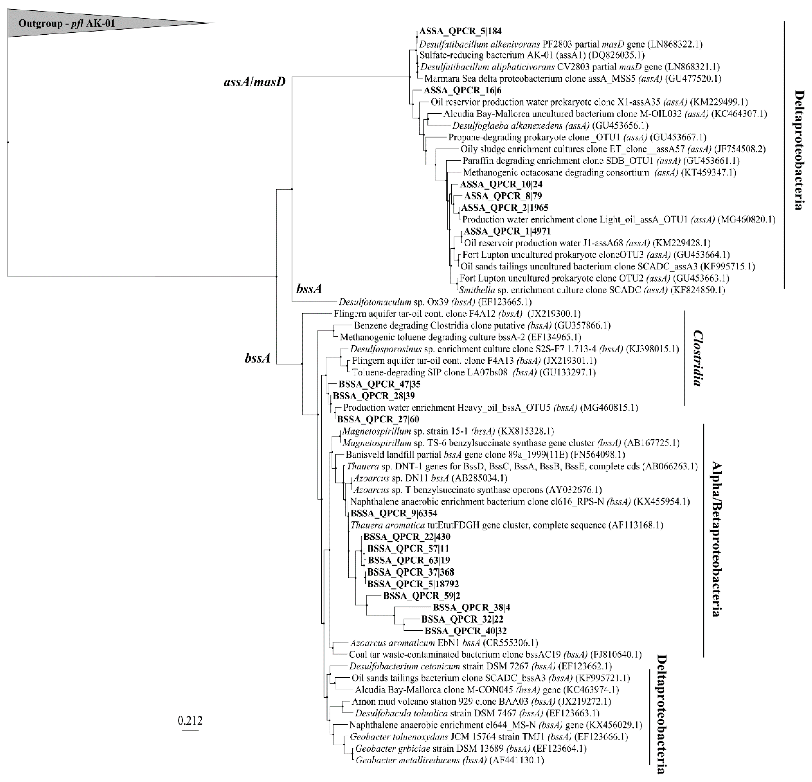 Microorganisms 08 01532 g006