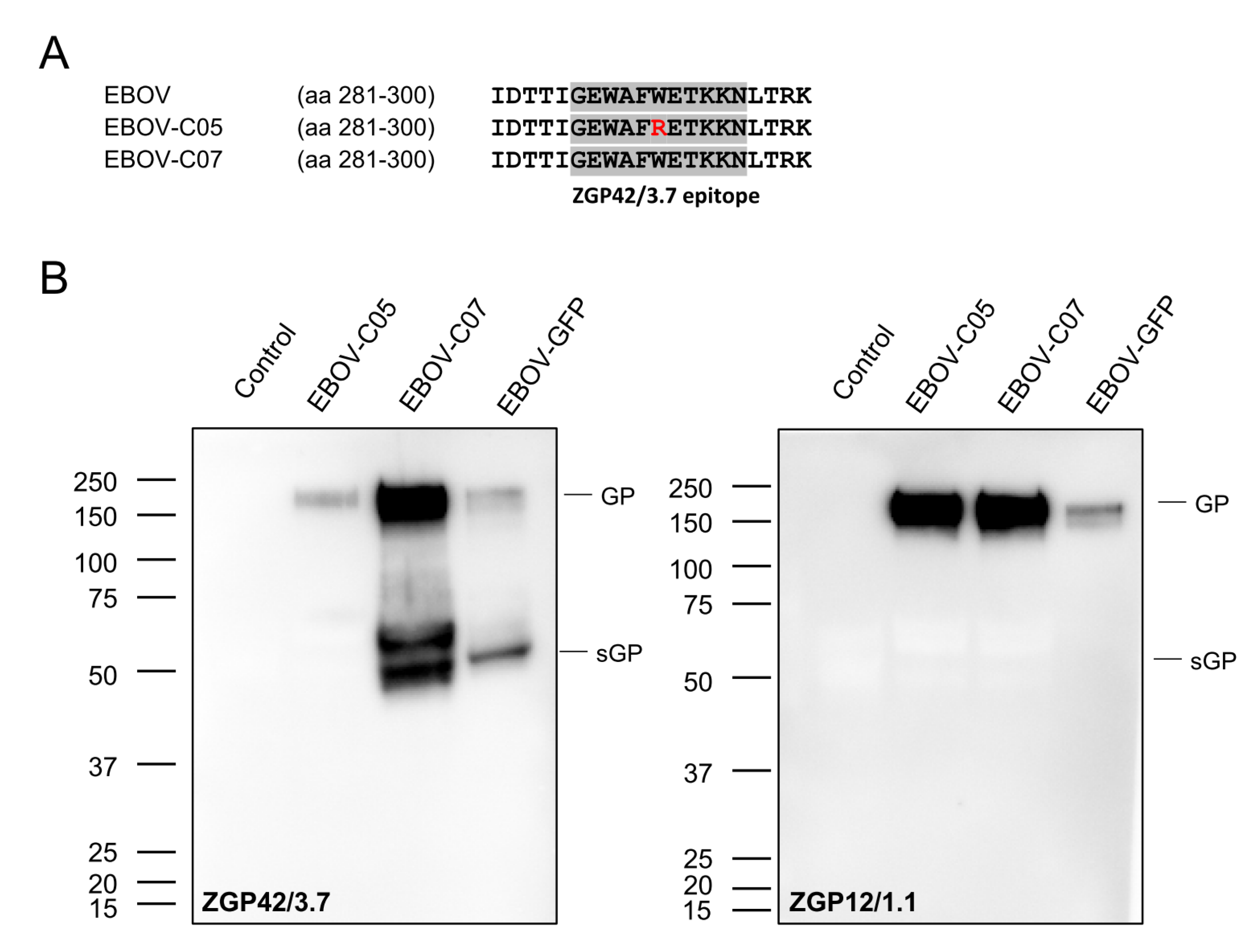 Microorganisms 08 01535 g003