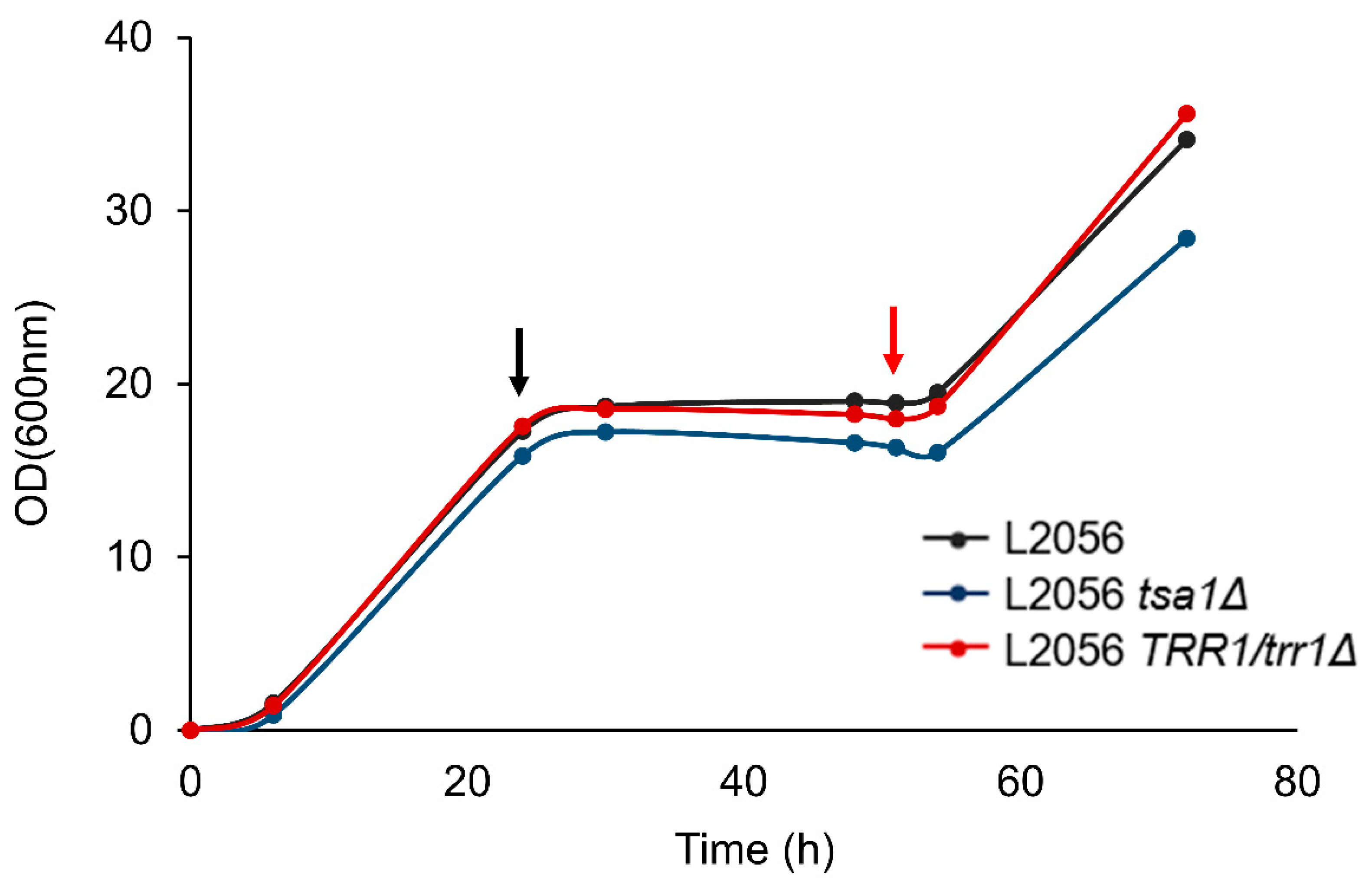 Microorganisms 08 01537 g004