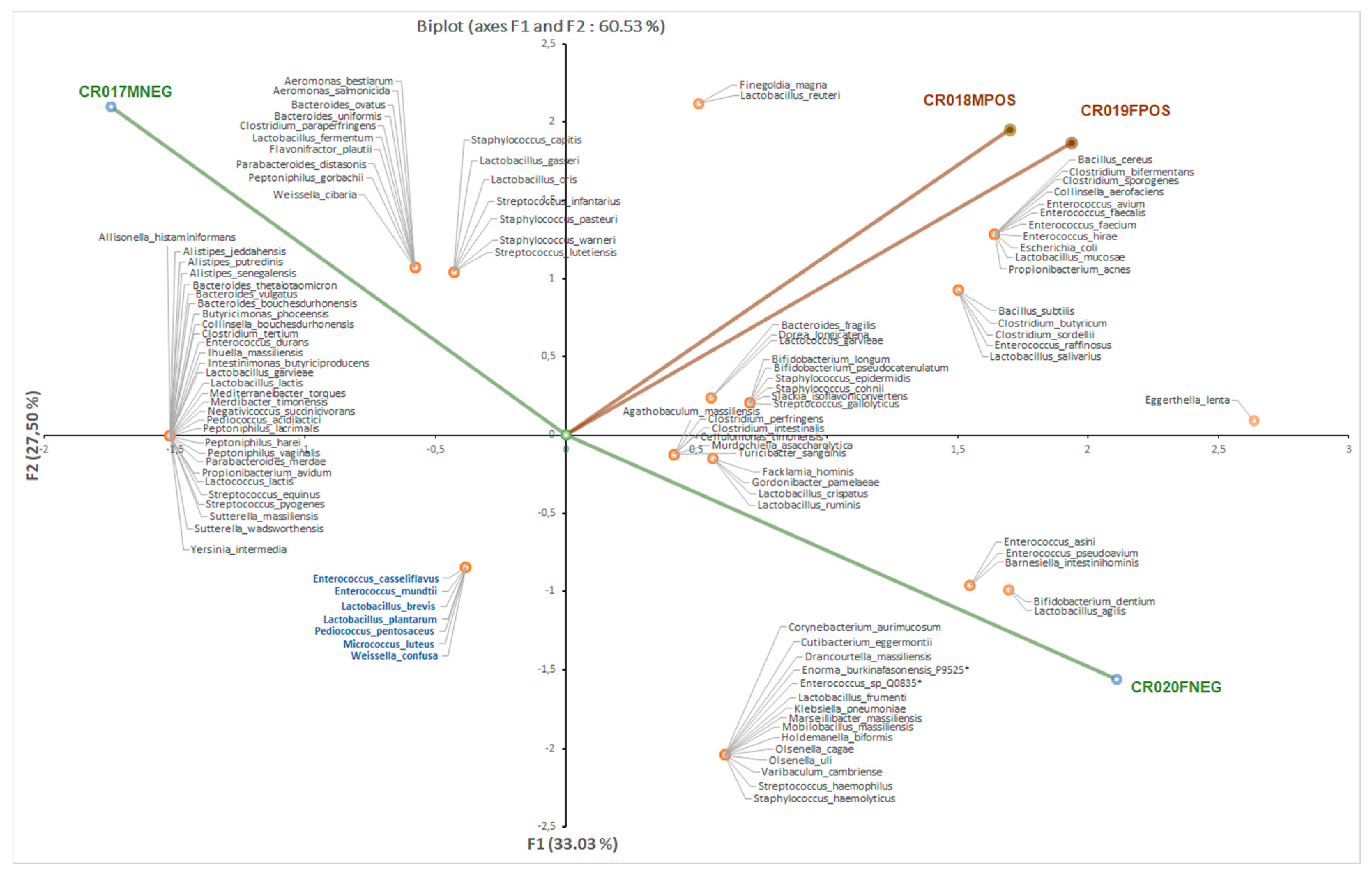 Microorganisms 08 01544 g002