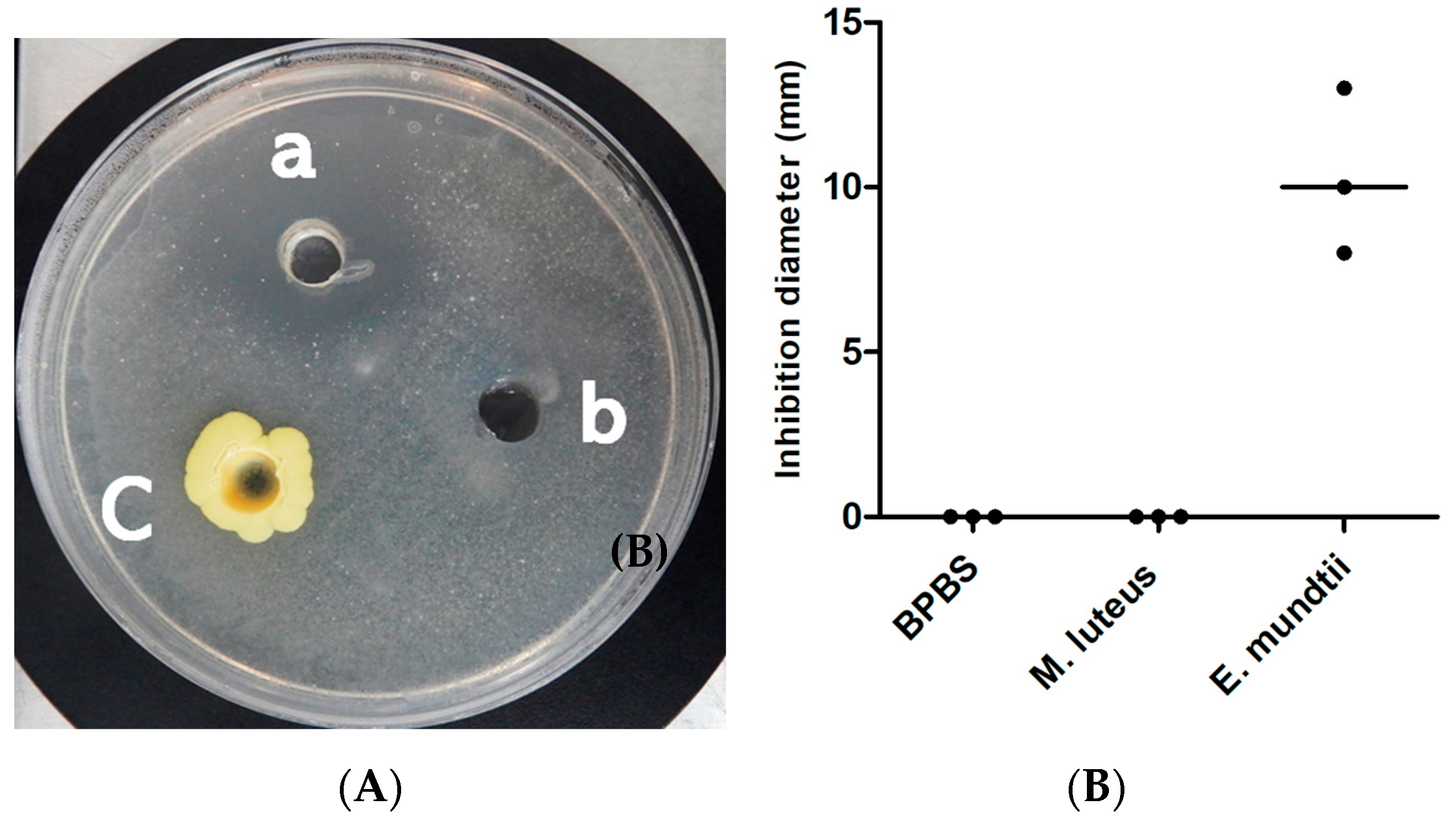 Microorganisms 08 01544 g006