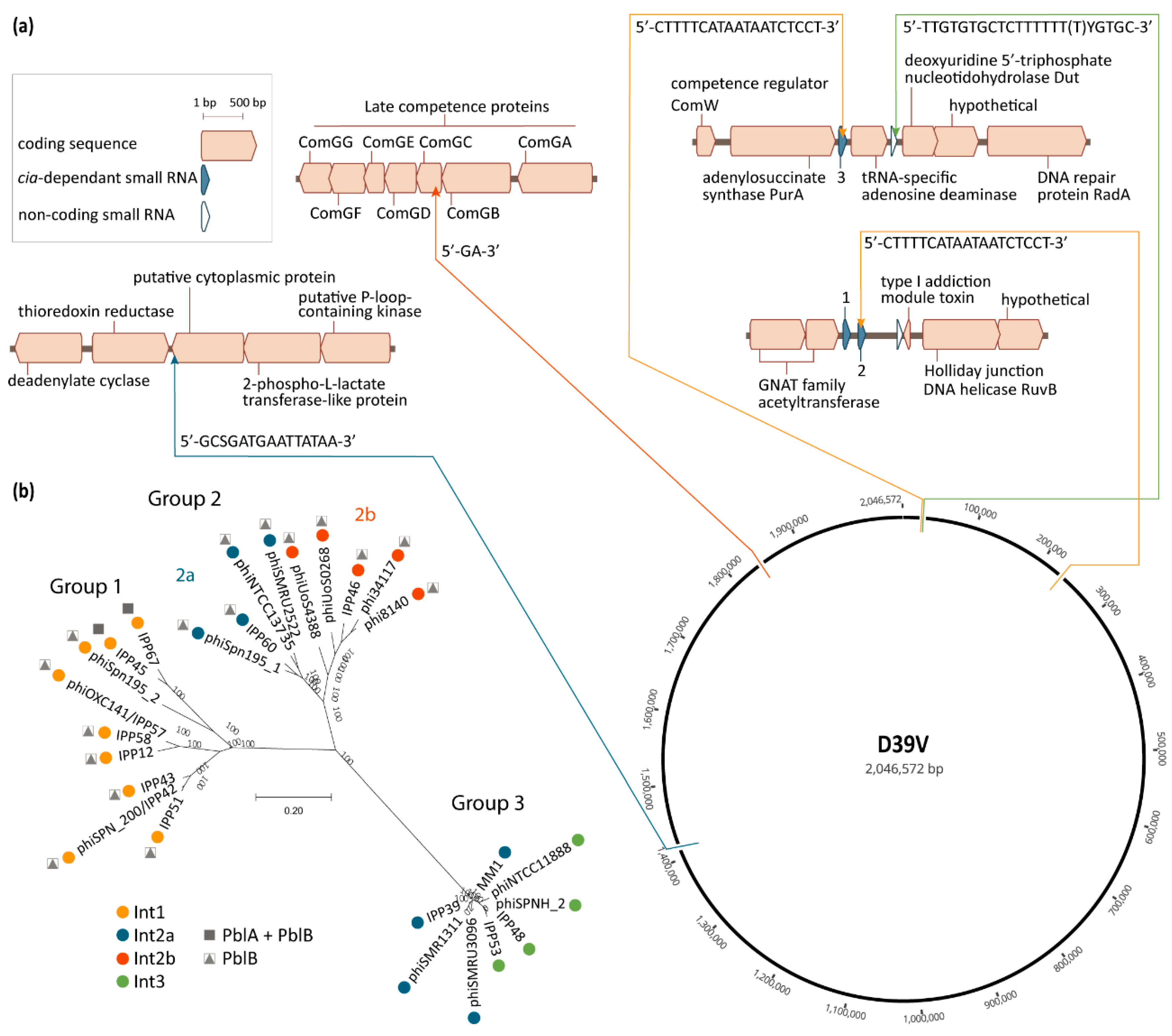Microorganisms 08 01546 g002