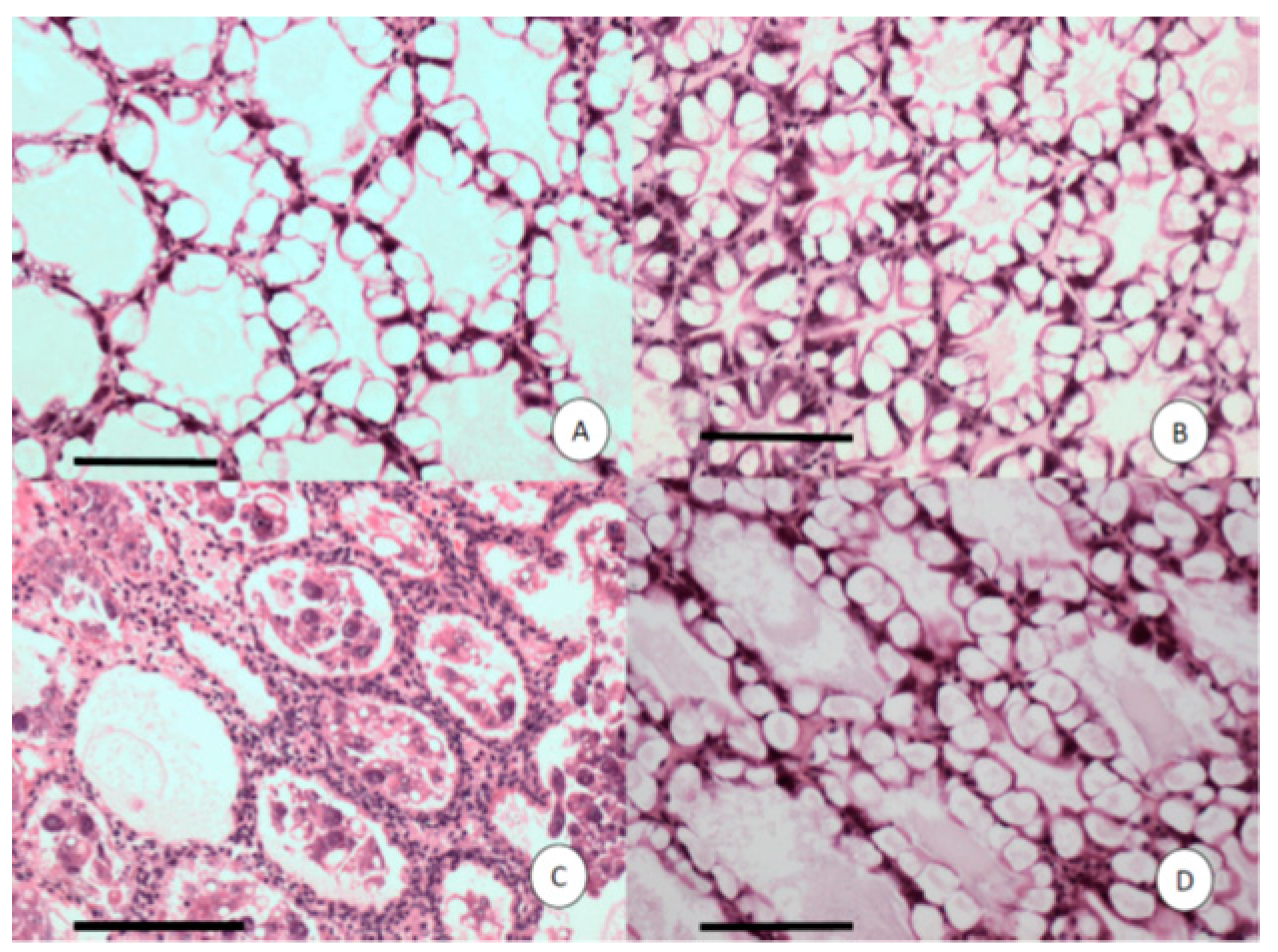 Microorganisms 08 01549 g004 Microorganisms 08 01549 g004