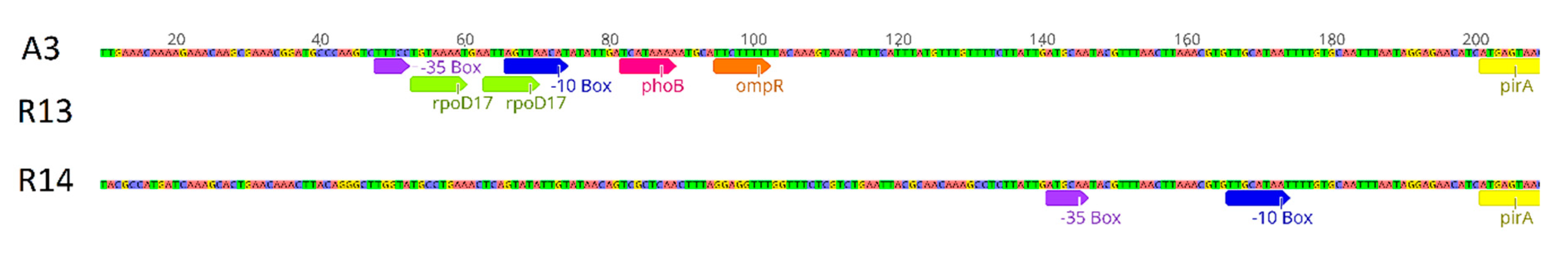 Microorganisms 08 01549 g007 Microorganisms 08 01549 g007