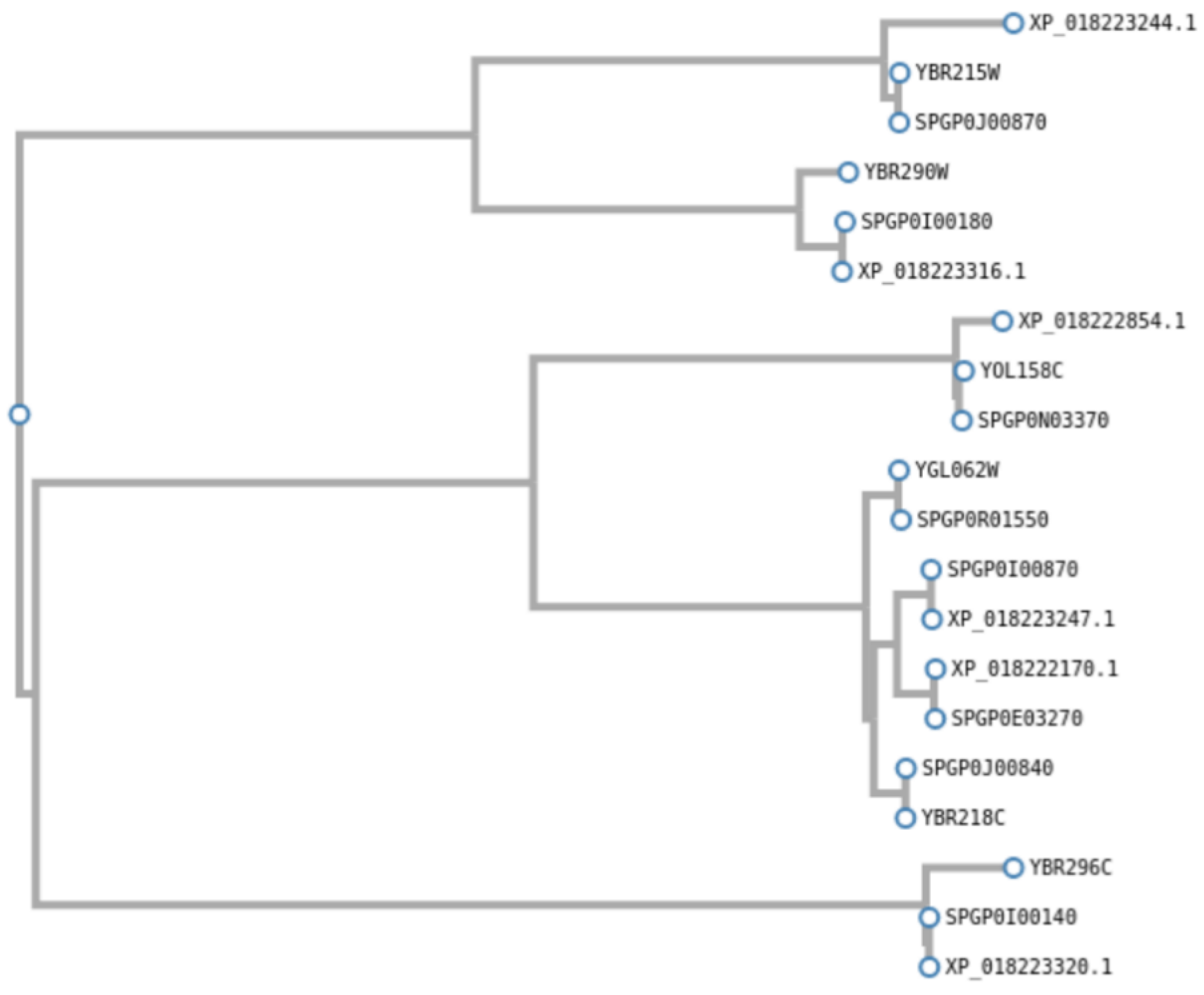 Microorganisms 08 01554 g008