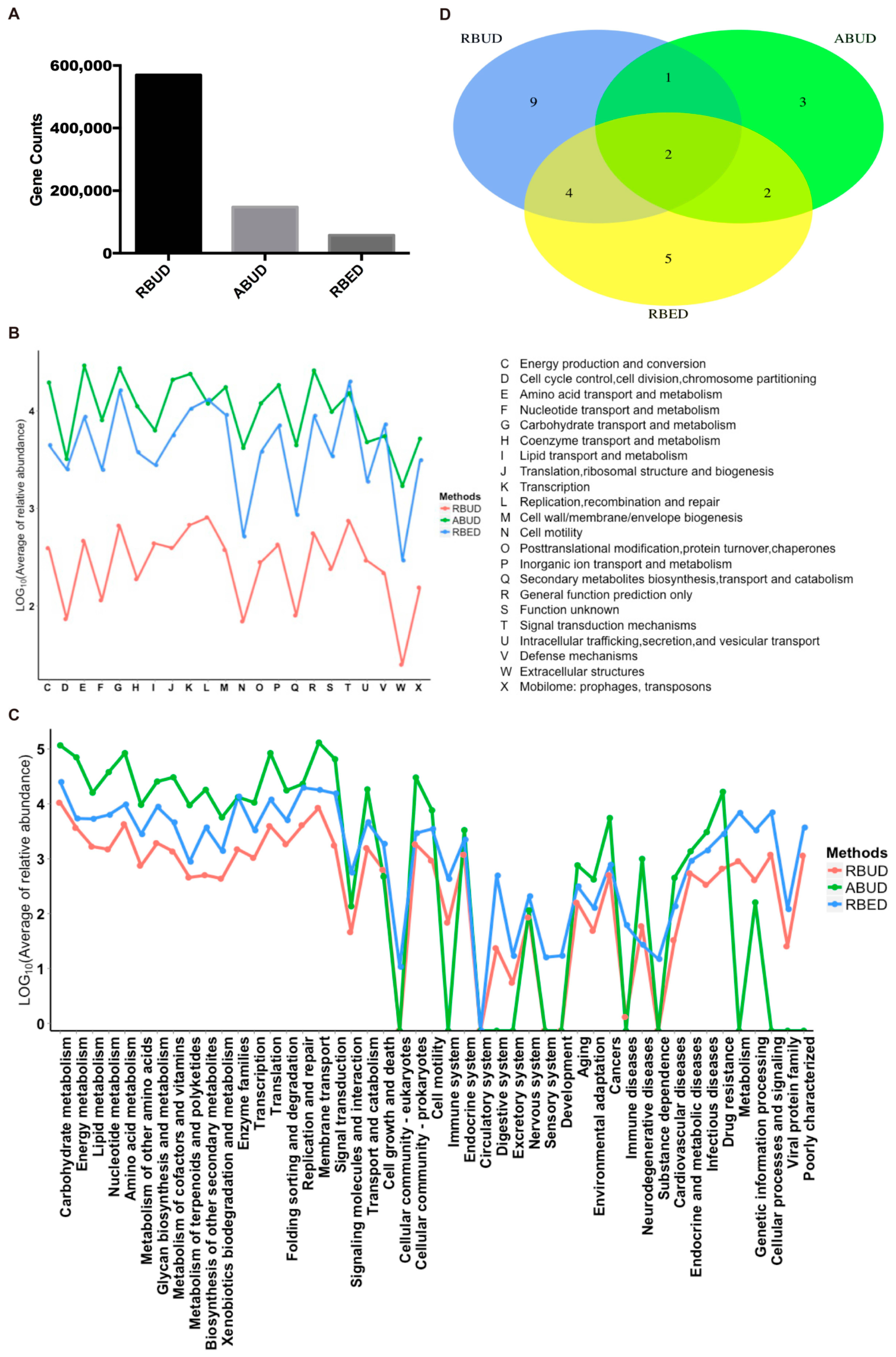Microorganisms 08 01563 g003