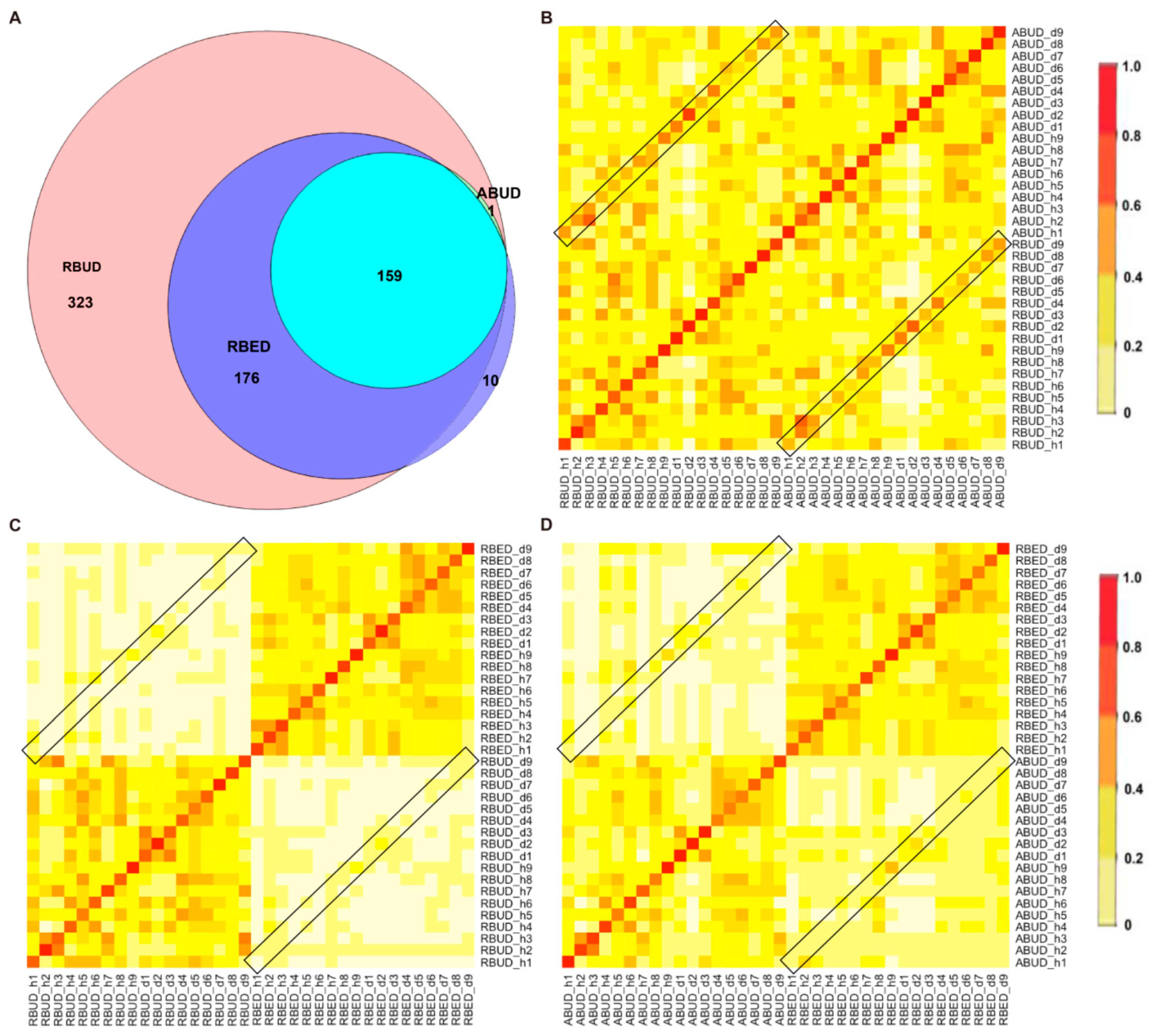 Microorganisms 08 01563 g004