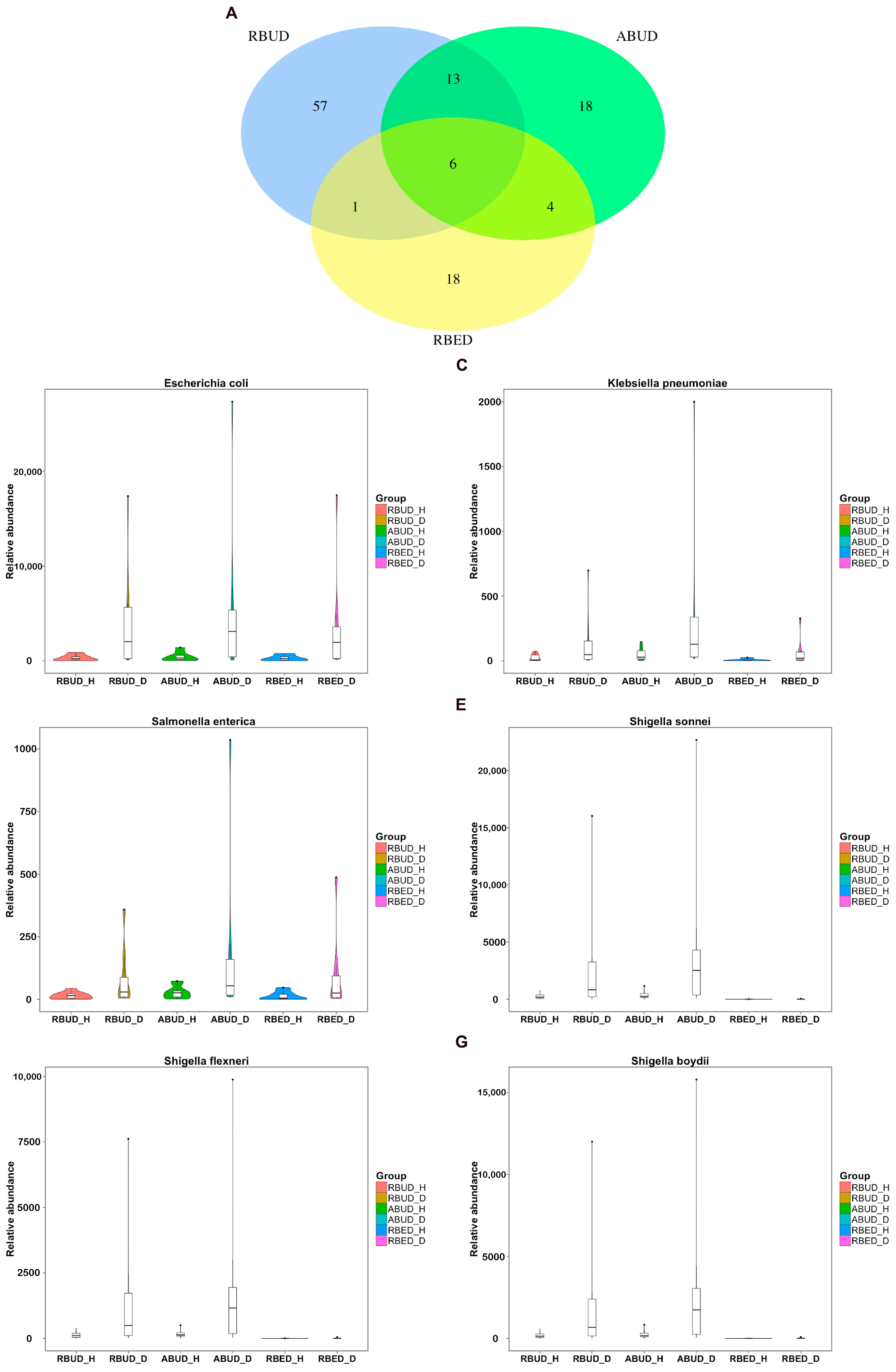 Microorganisms 08 01563 g006