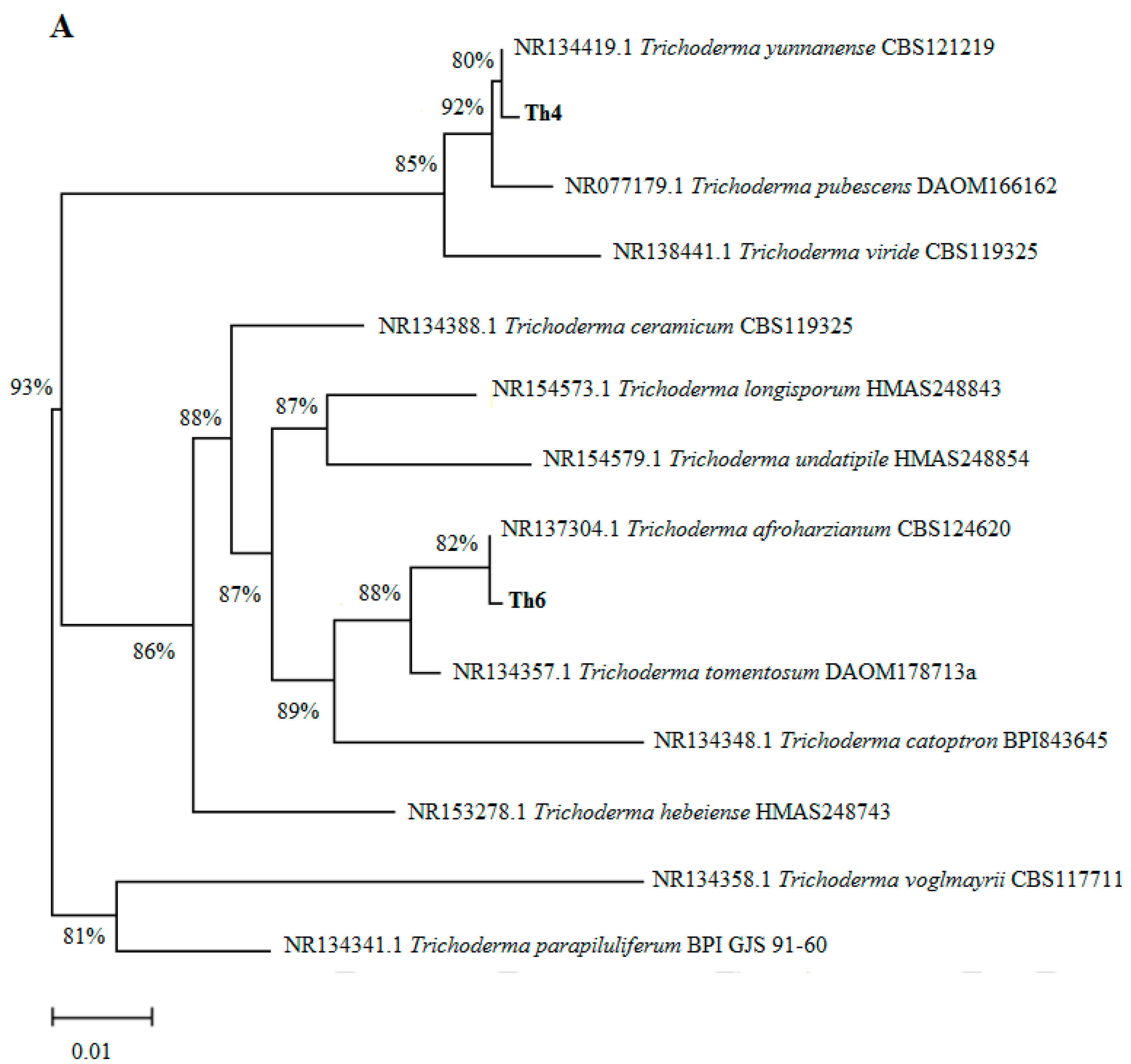 Microorganisms 08 01565 g001a