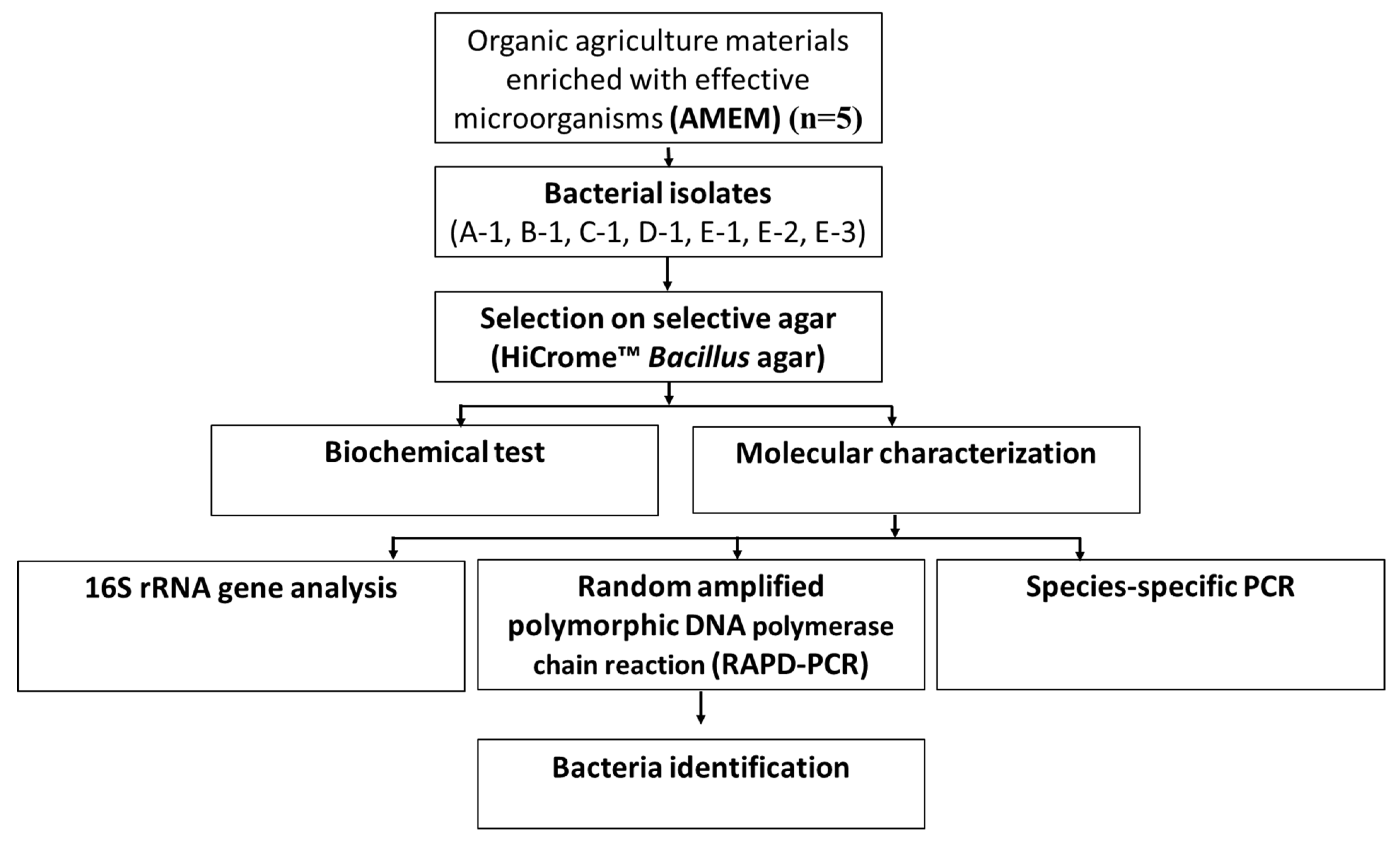 Microorganisms 08 01568 g001 Microorganisms 08 01568 g001
