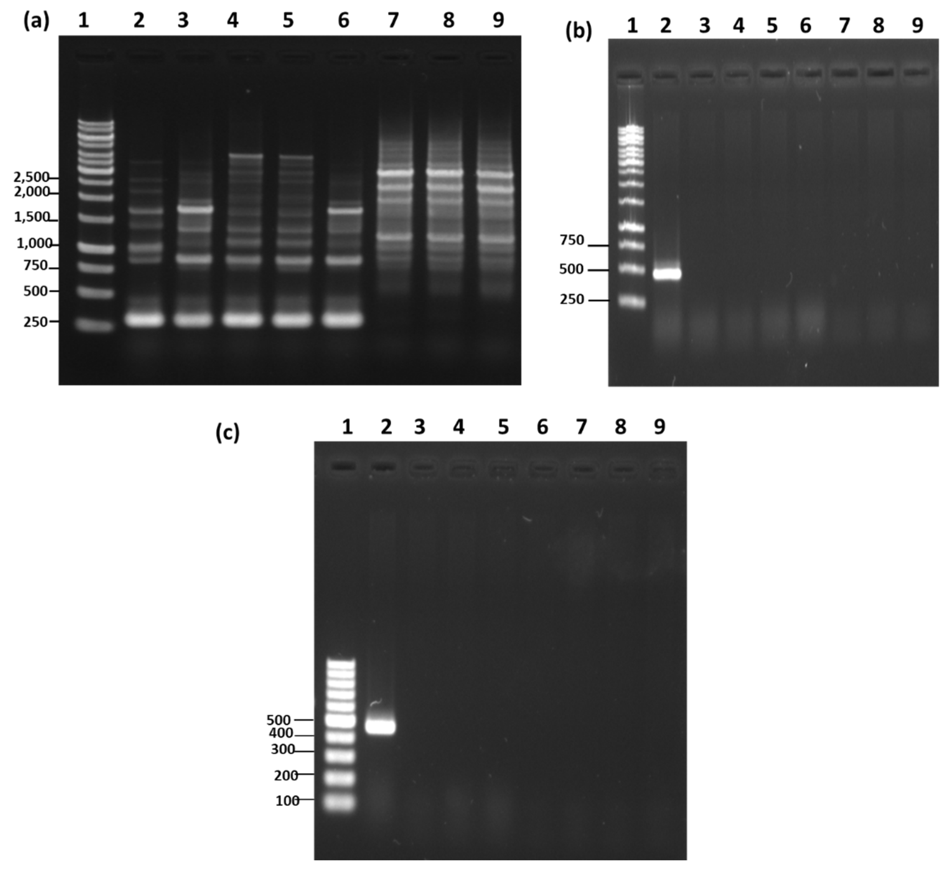 Microorganisms 08 01568 g003 Microorganisms 08 01568 g003