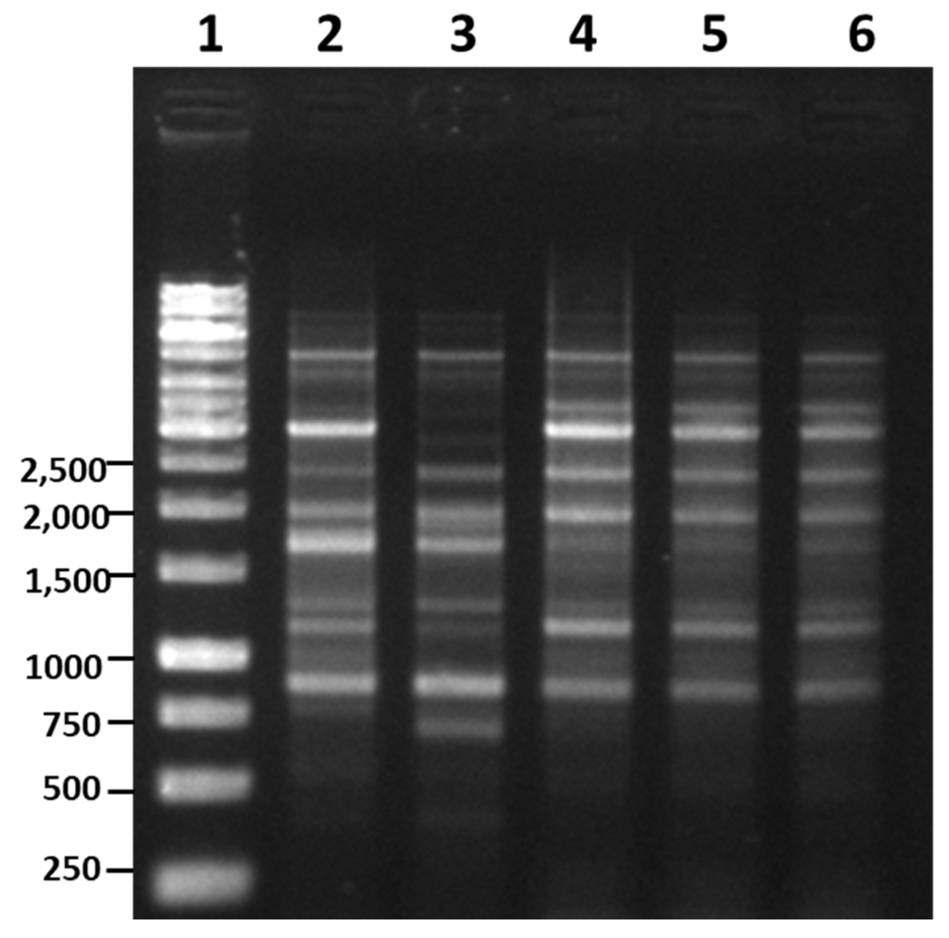 Microorganisms 08 01568 g004 Microorganisms 08 01568 g004
