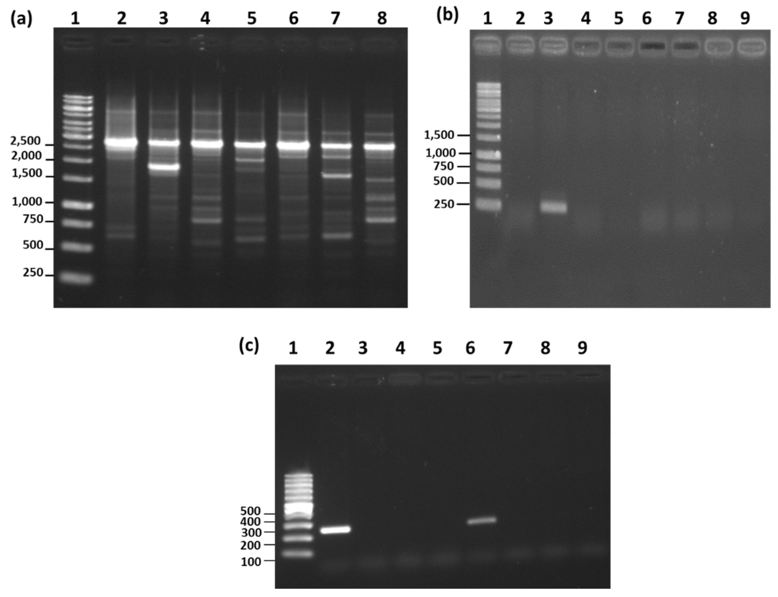 Microorganisms 08 01568 g005 Microorganisms 08 01568 g005