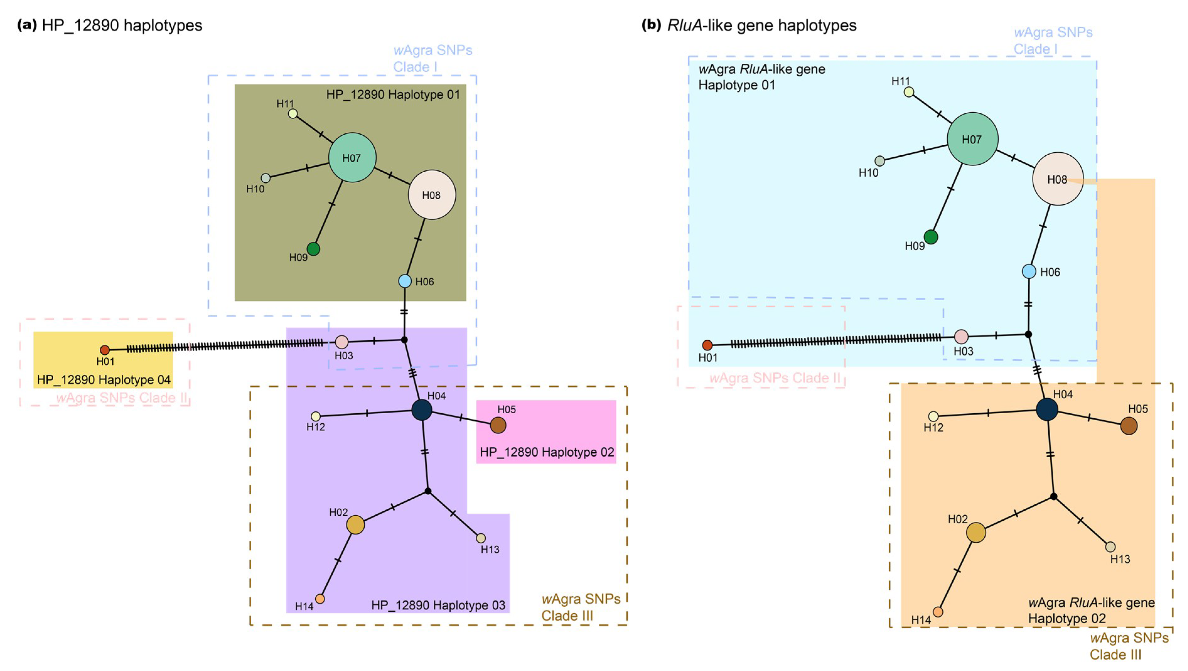 Microorganisms 08 01569 g003 Microorganisms 08 01569 g003
