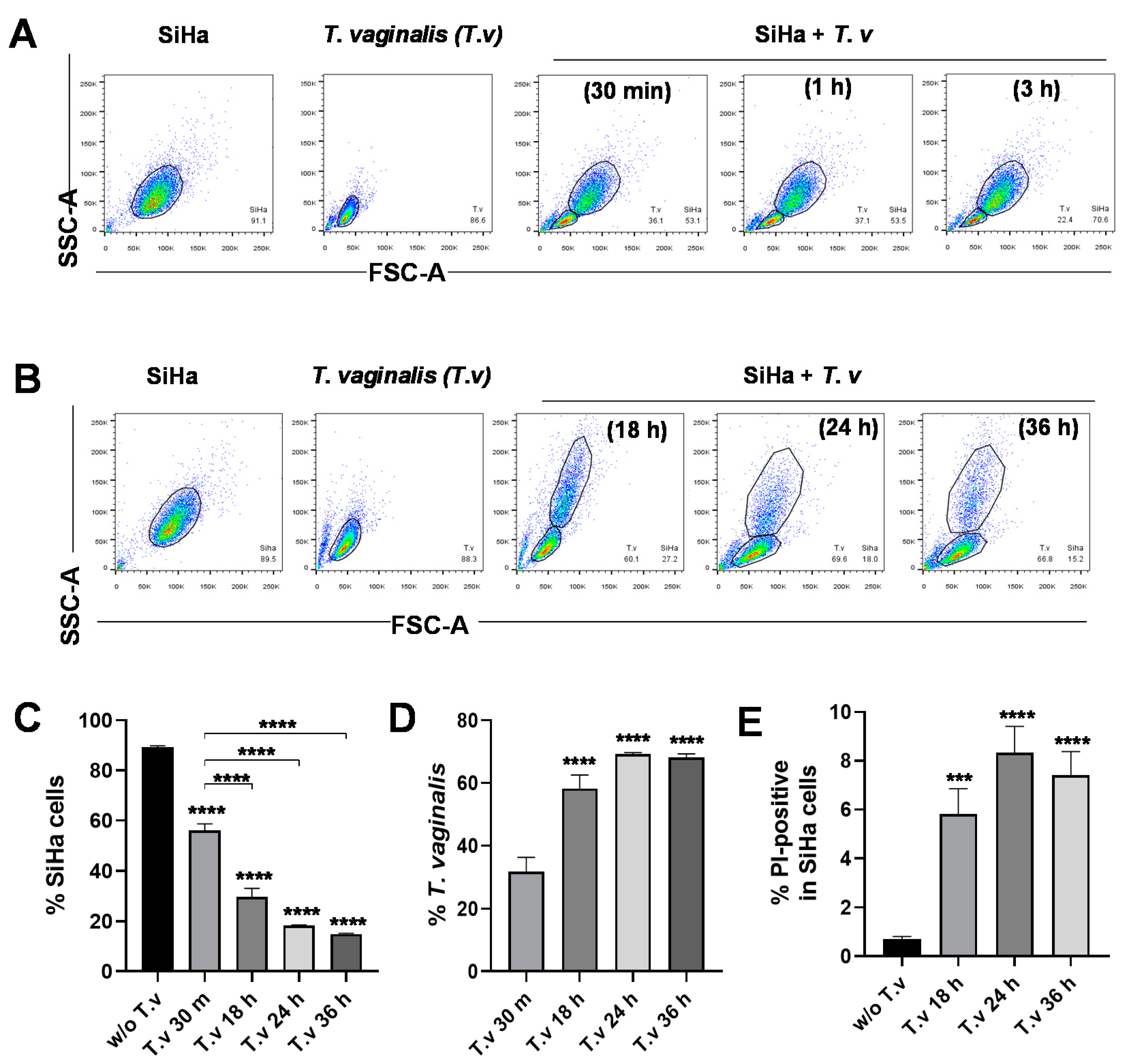 Microorganisms 08 01570 g001 Microorganisms 08 01570 g001