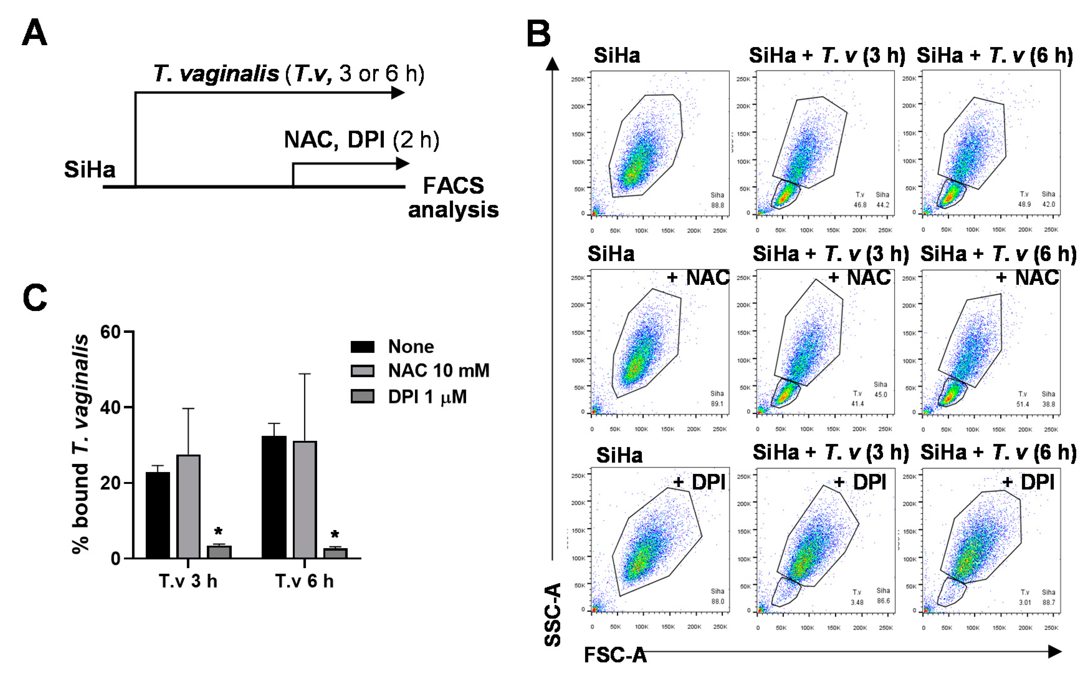 Microorganisms 08 01570 g002 Microorganisms 08 01570 g002