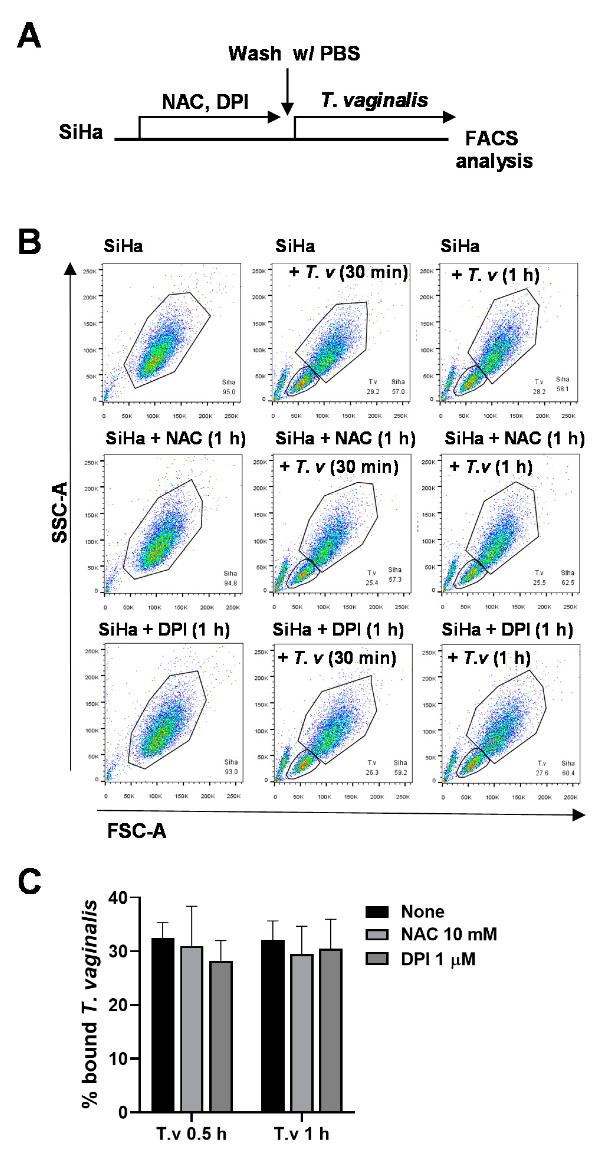 Microorganisms 08 01570 g003 Microorganisms 08 01570 g003