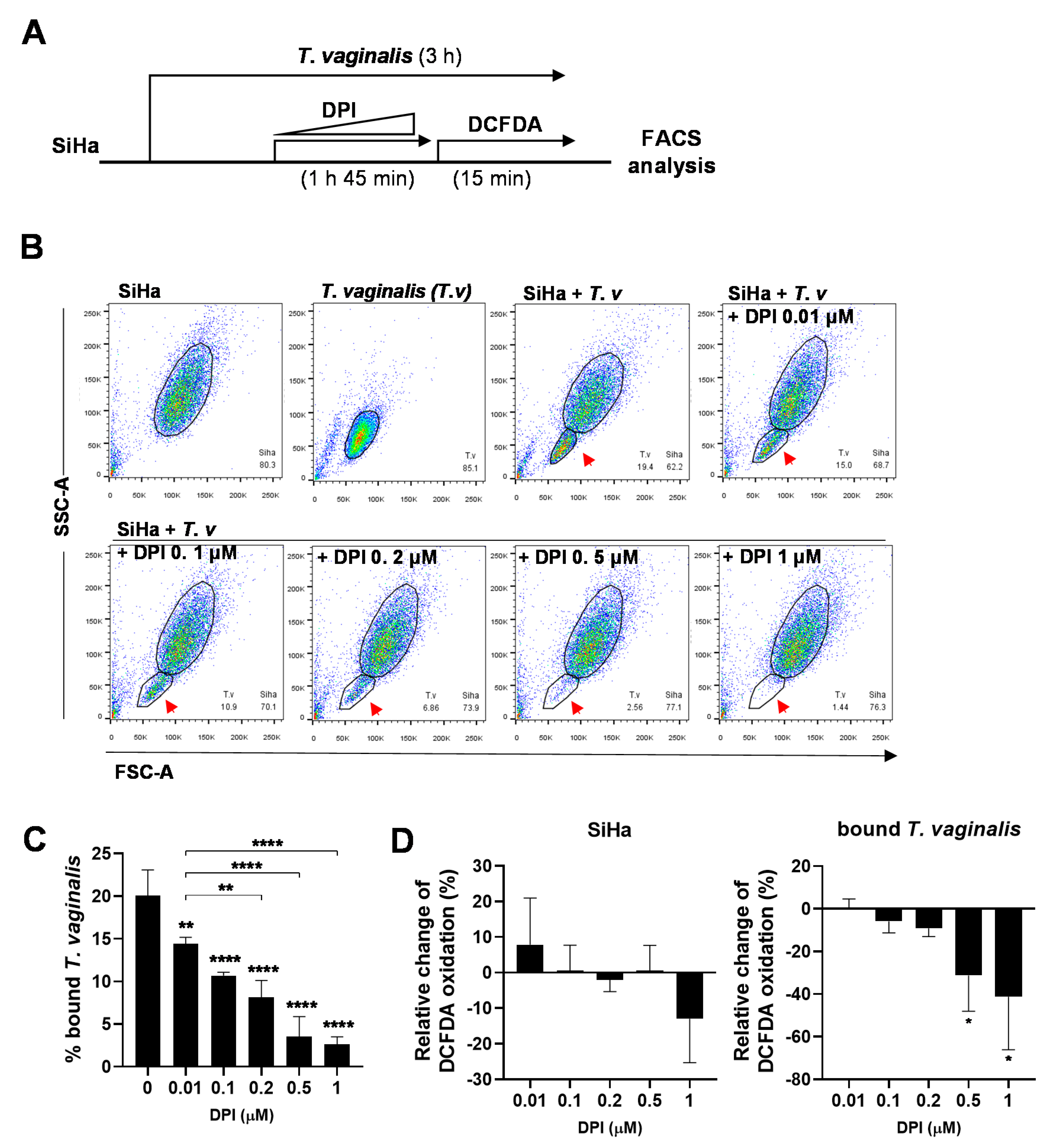 Microorganisms 08 01570 g004 Microorganisms 08 01570 g004