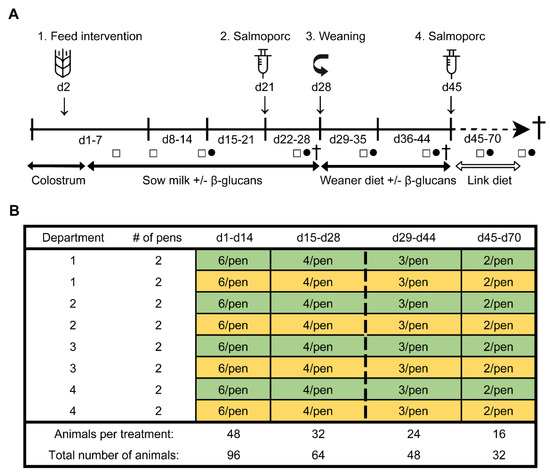 Microorganisms Free Full Text Impact Of Yeast Derived B Glucans On The Porcine Gut Microbiota And Immune System In Early Life Html
