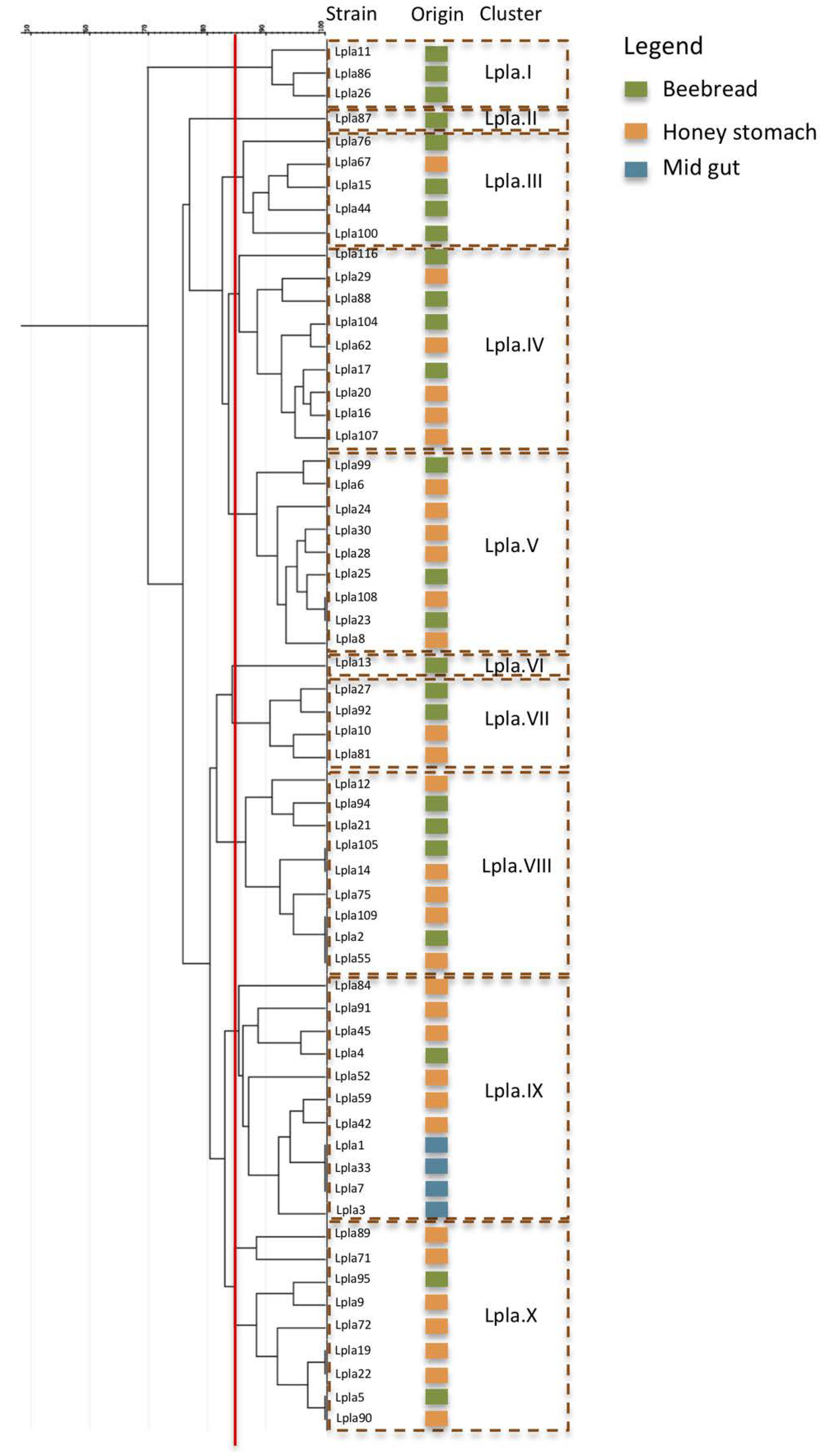 Microorganisms 08 01578 g004