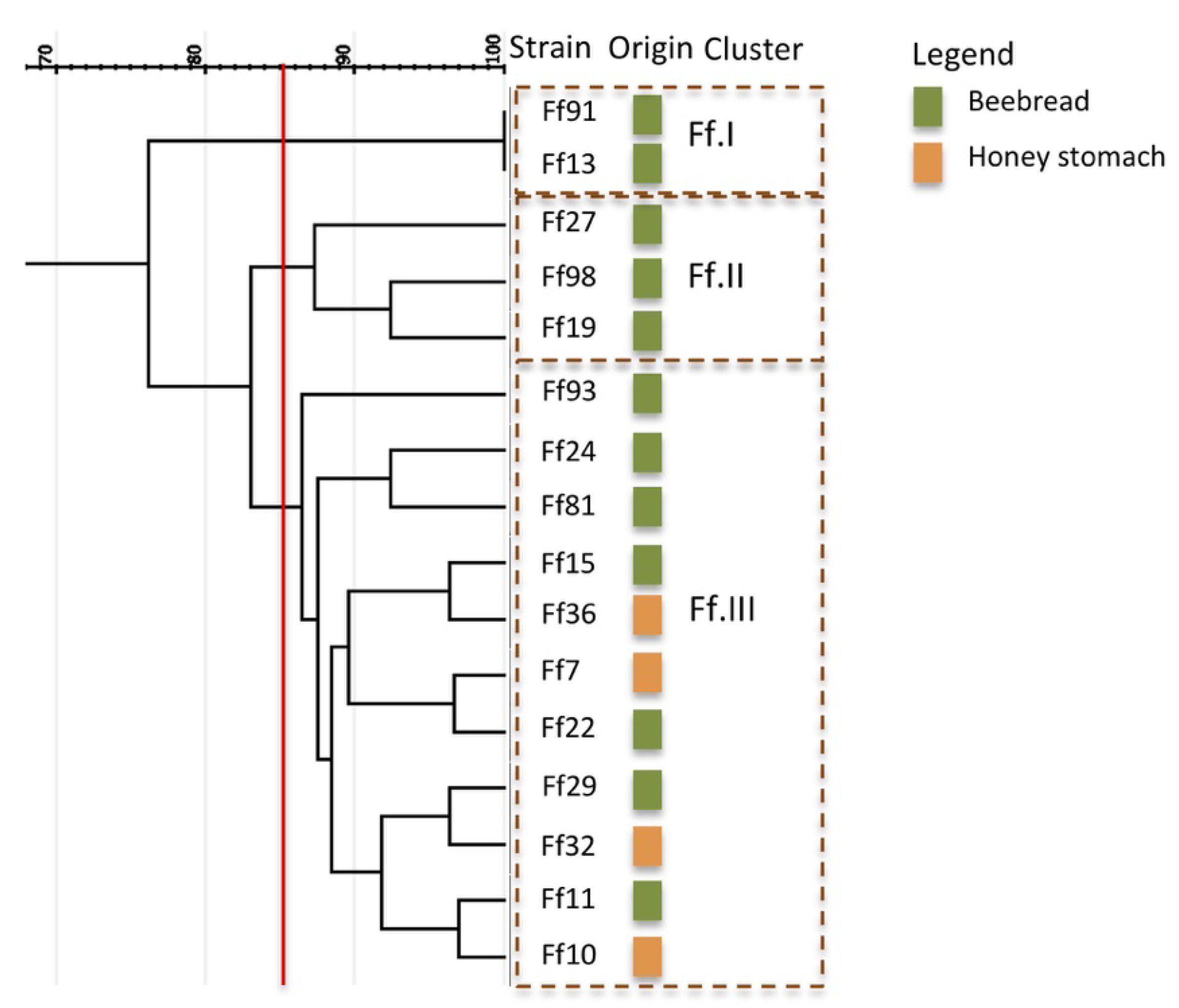 Microorganisms 08 01578 g005