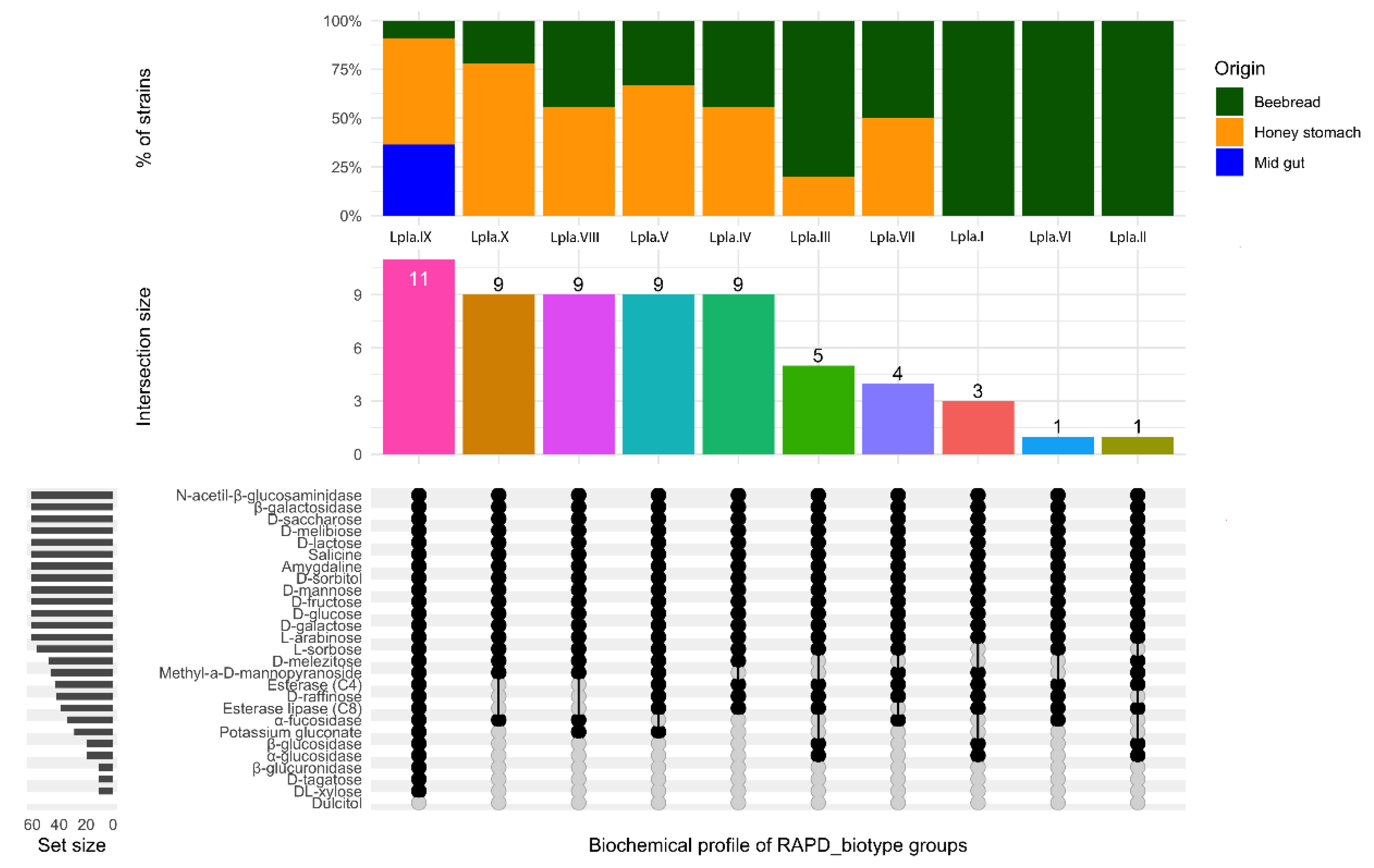 Microorganisms 08 01578 g007