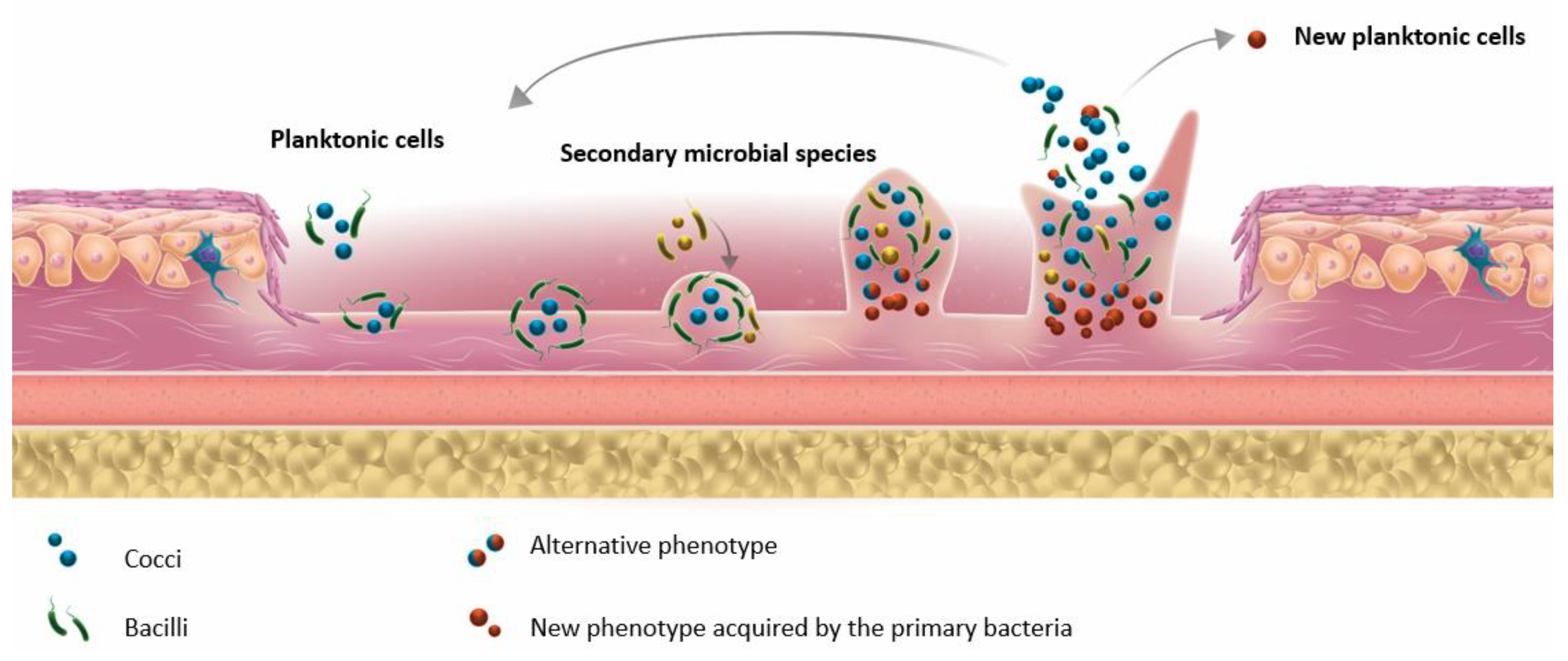 Microorganisms 08 01580 g001 Microorganisms 08 01580 g001