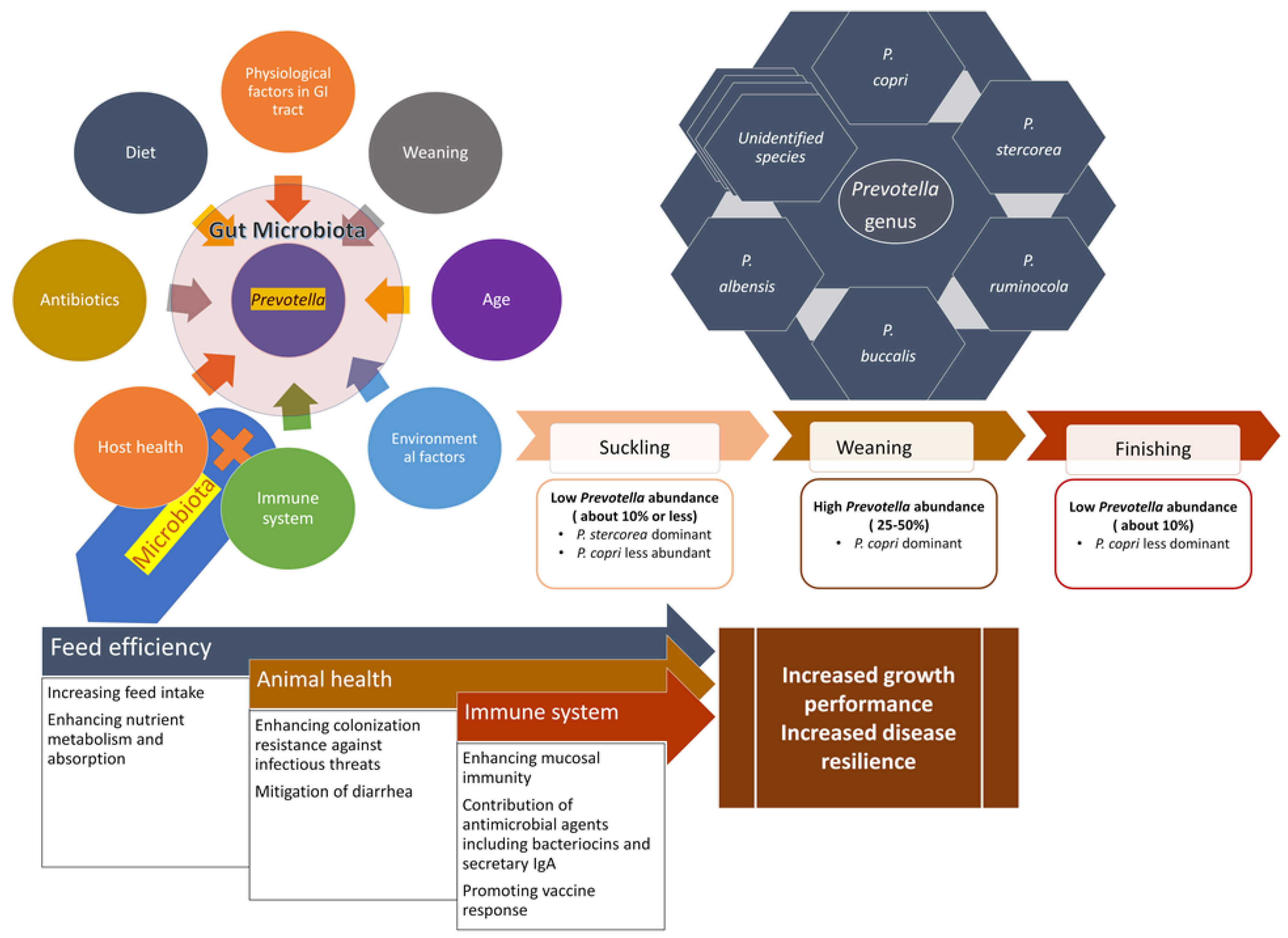 Microorganisms 08 01584 g001 Microorganisms 08 01584 g001