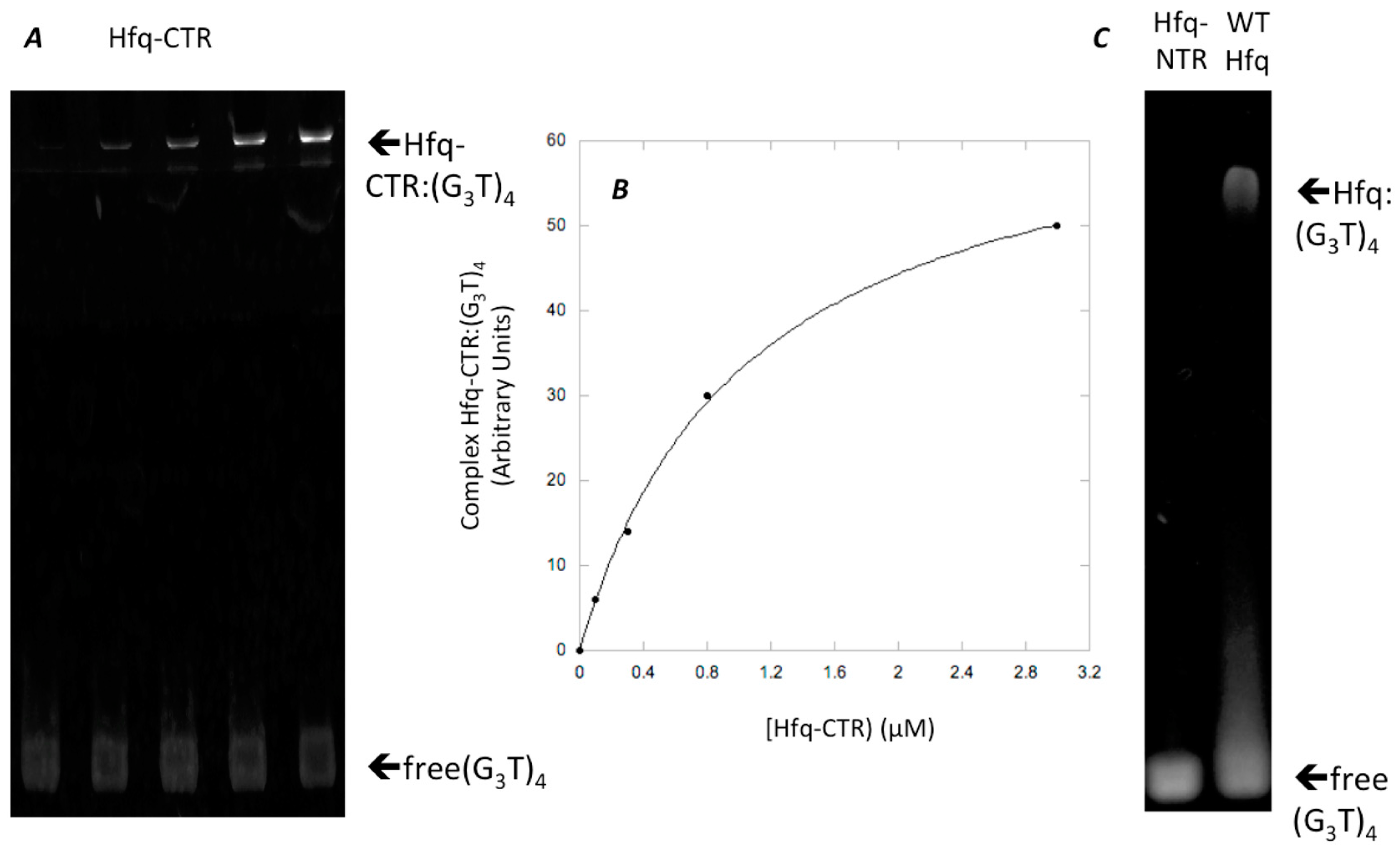 Microorganisms 08 01598 g002