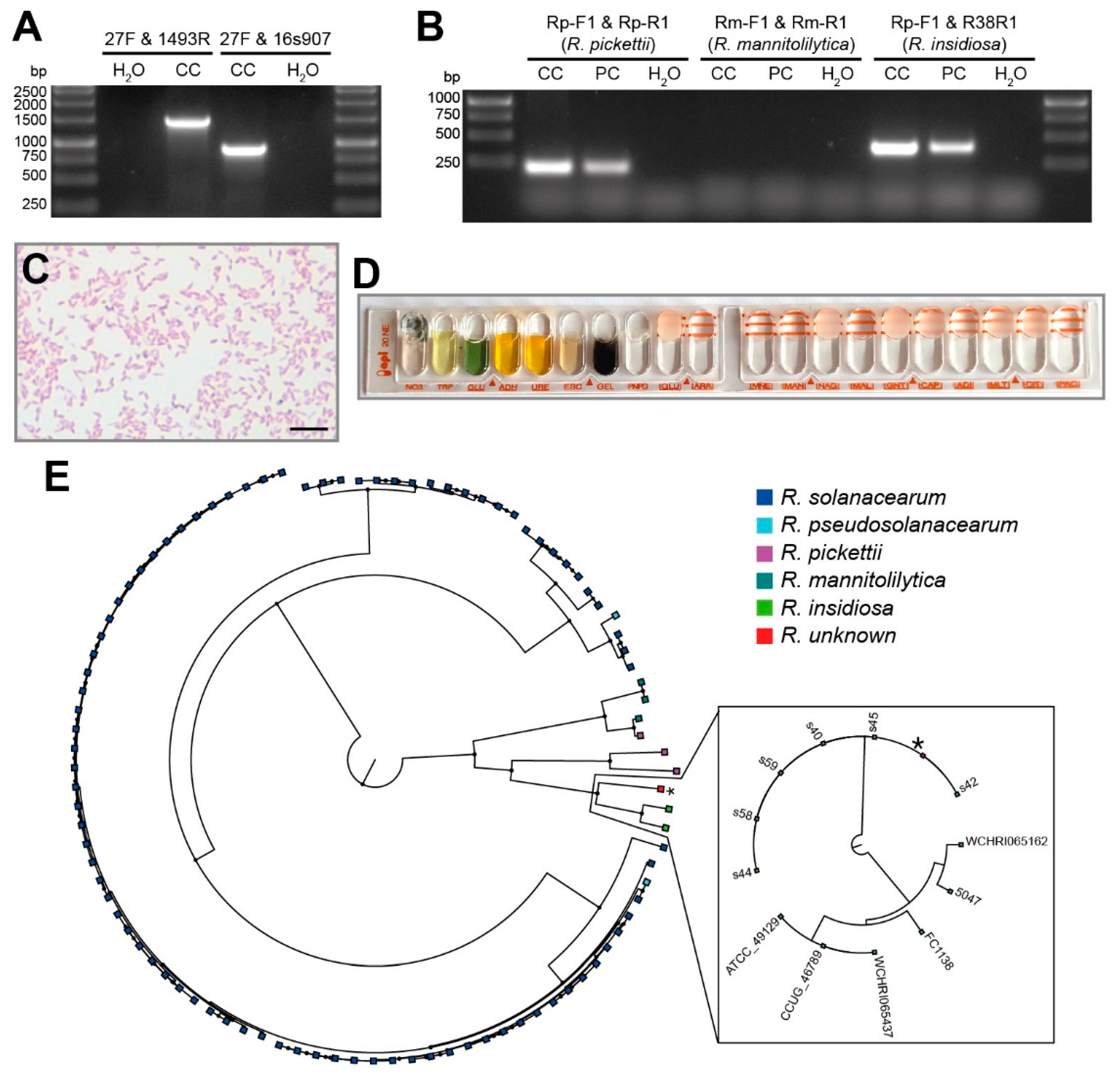 Microorganisms 08 01599 g002 Microorganisms 08 01599 g002