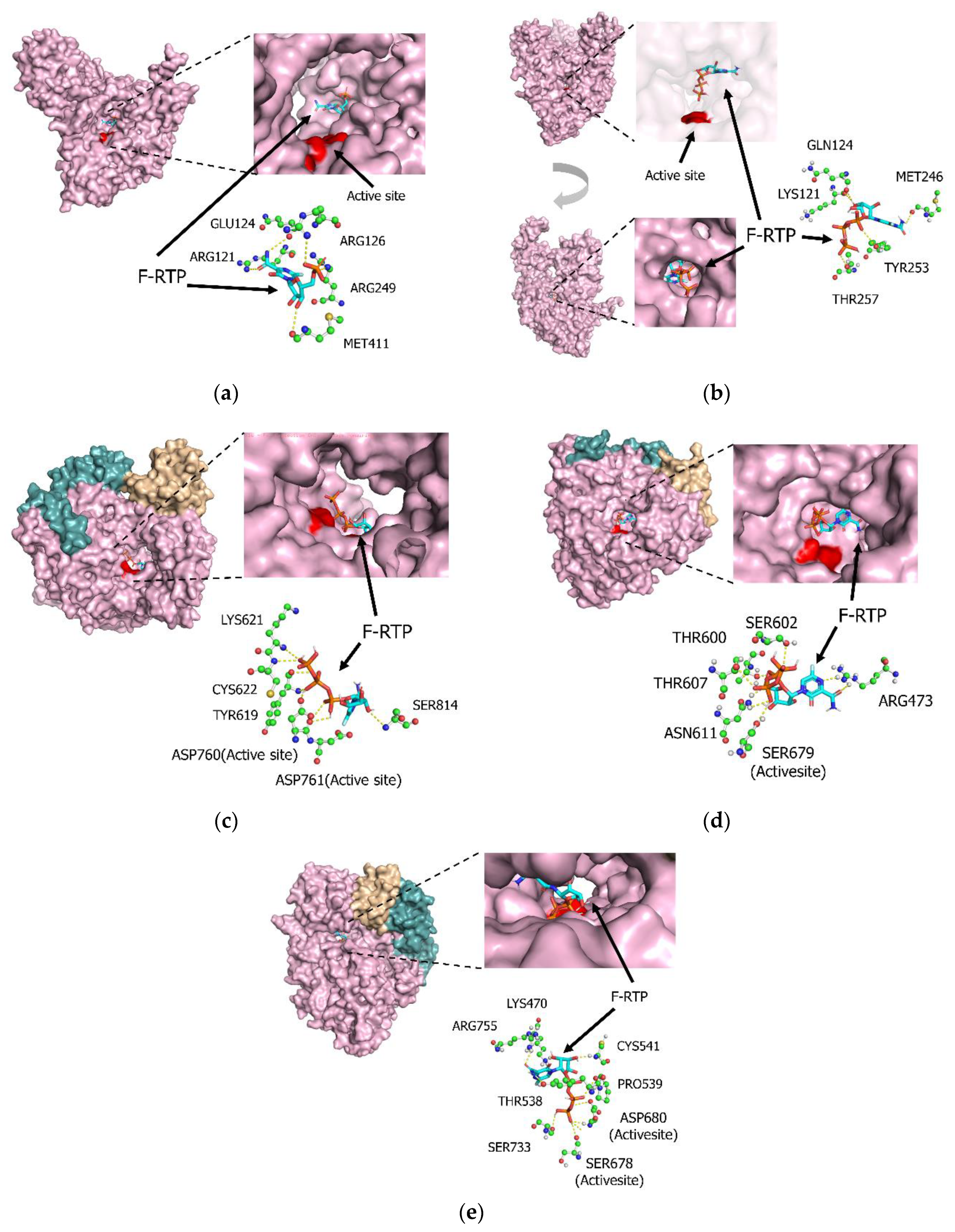 Microorganisms 08 01610 g001 Microorganisms 08 01610 g001