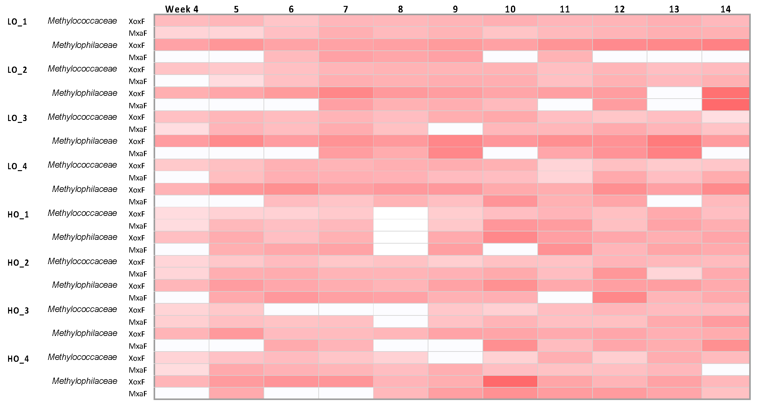 Microorganisms 08 01614 g005 Microorganisms 08 01614 g005