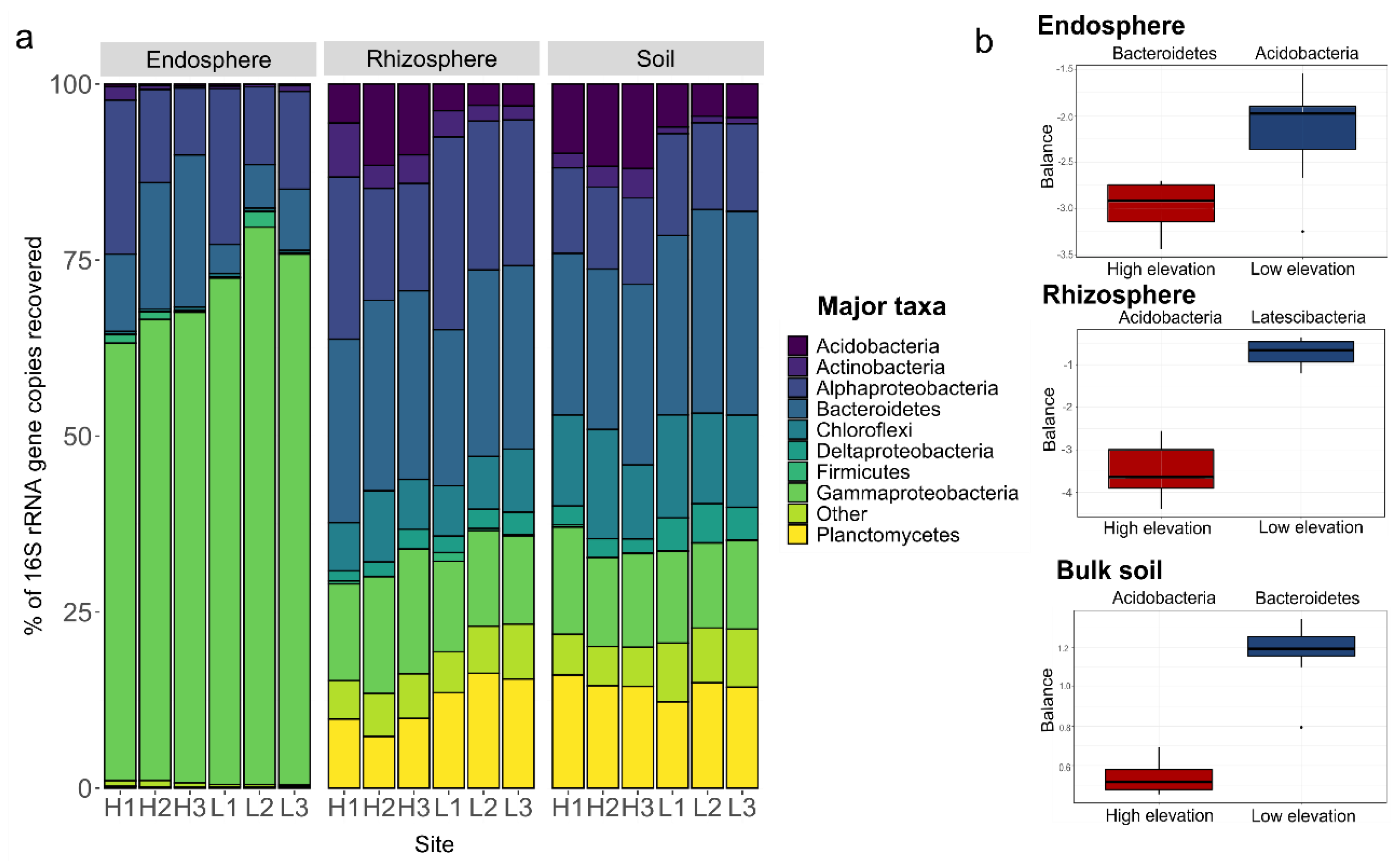Microorganisms 08 01619 g003