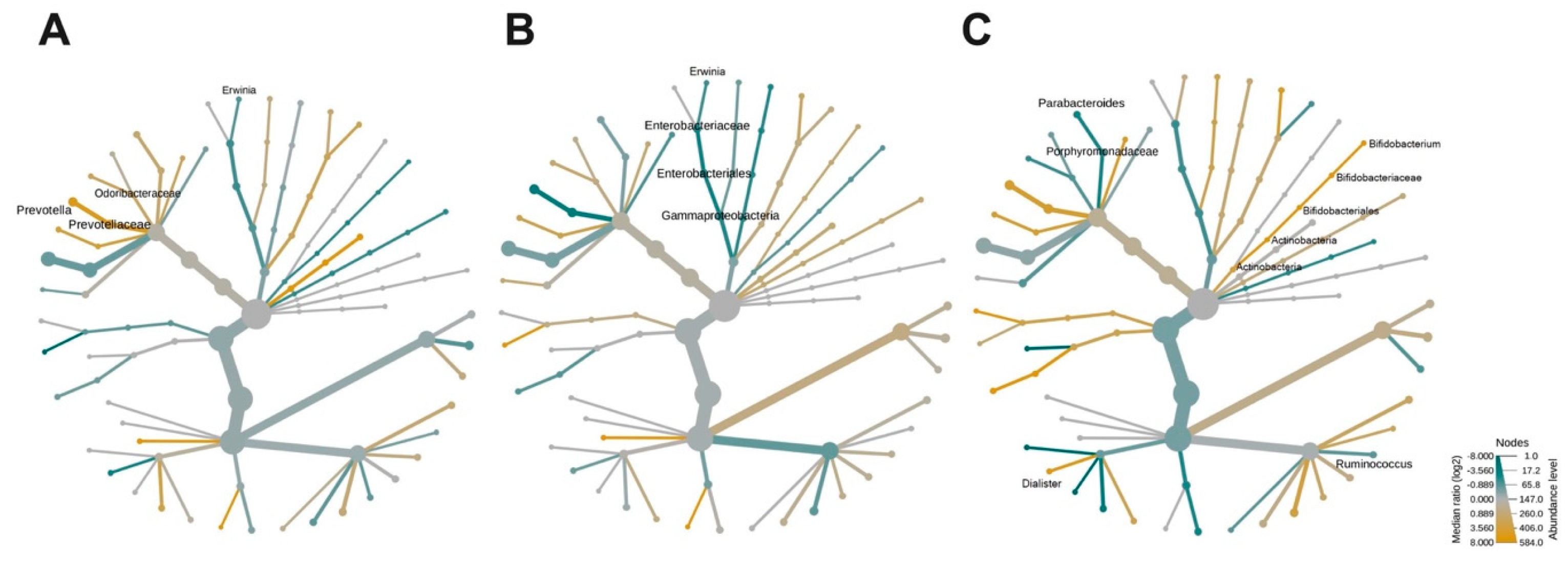 Microorganisms 08 01630 g003 Microorganisms 08 01630 g003