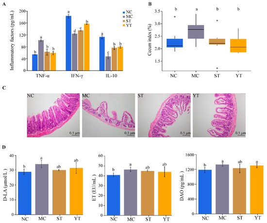 Streptococcus thermophiles DMST-H2 Promotes Recovery in Mice with