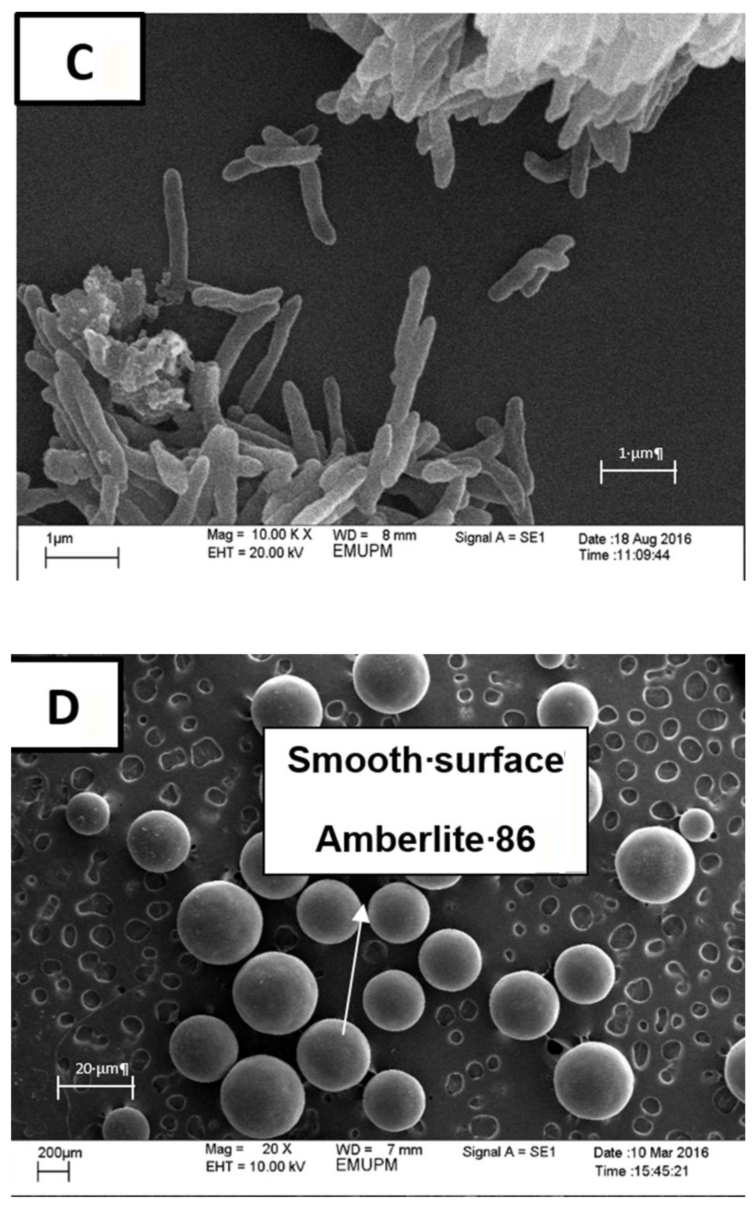 Microorganisms 08 01654 g004b Microorganisms 08 01654 g004b