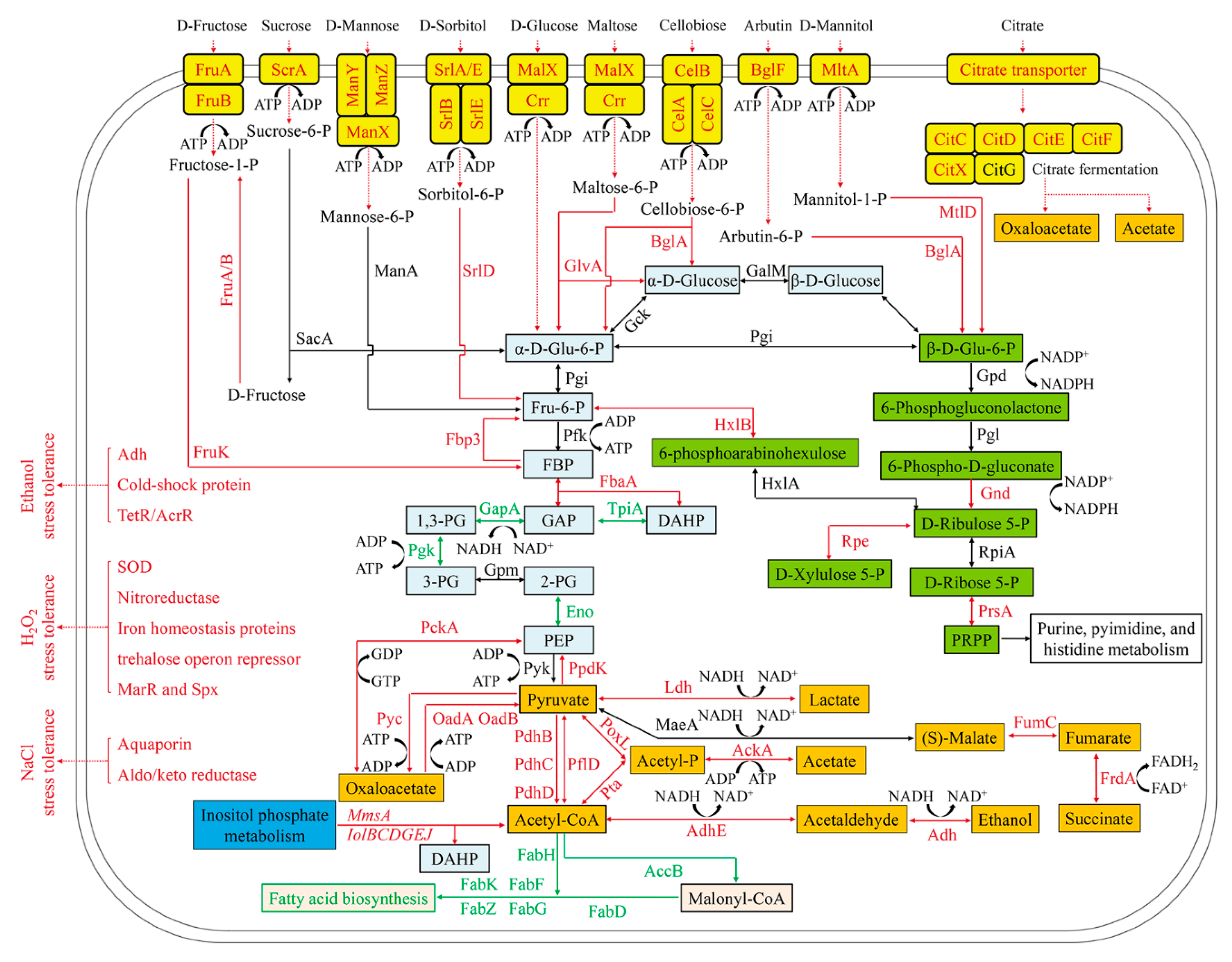 Microorganisms 08 01656 g004 Microorganisms 08 01656 g004