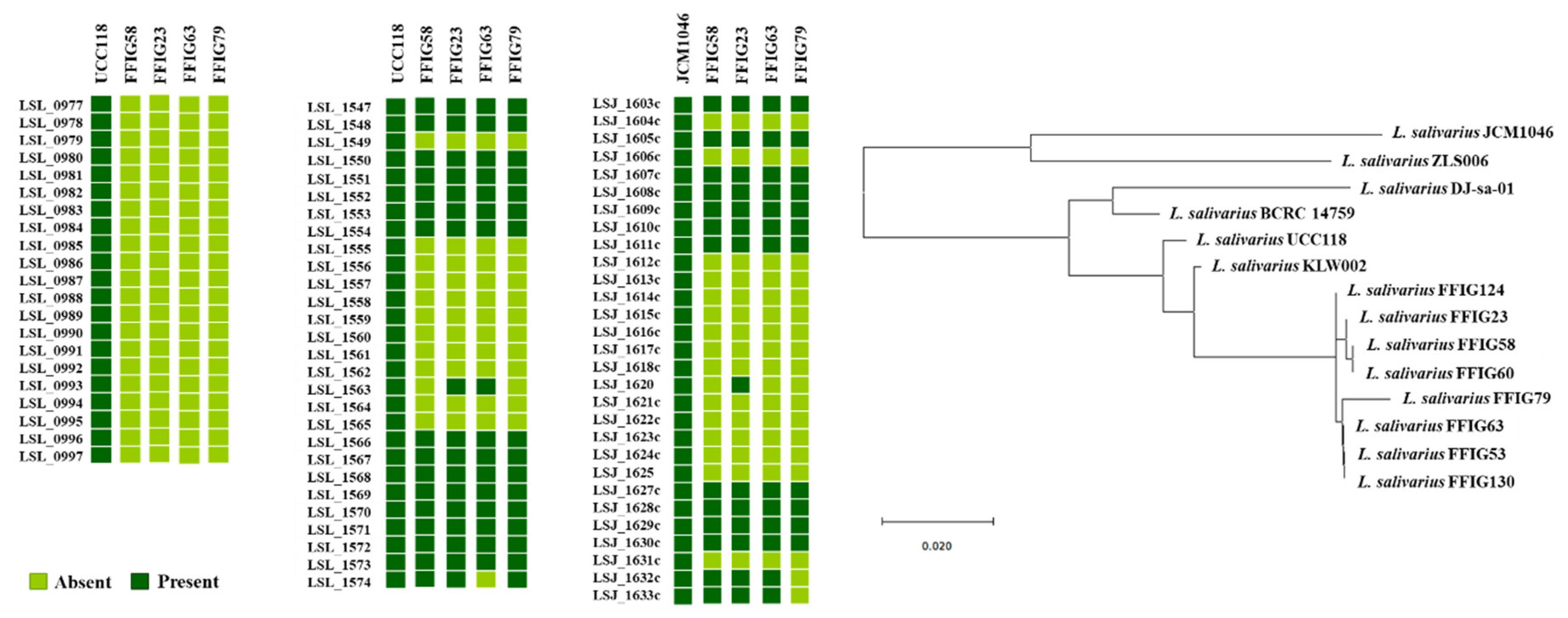 Microorganisms 08 01659 g004