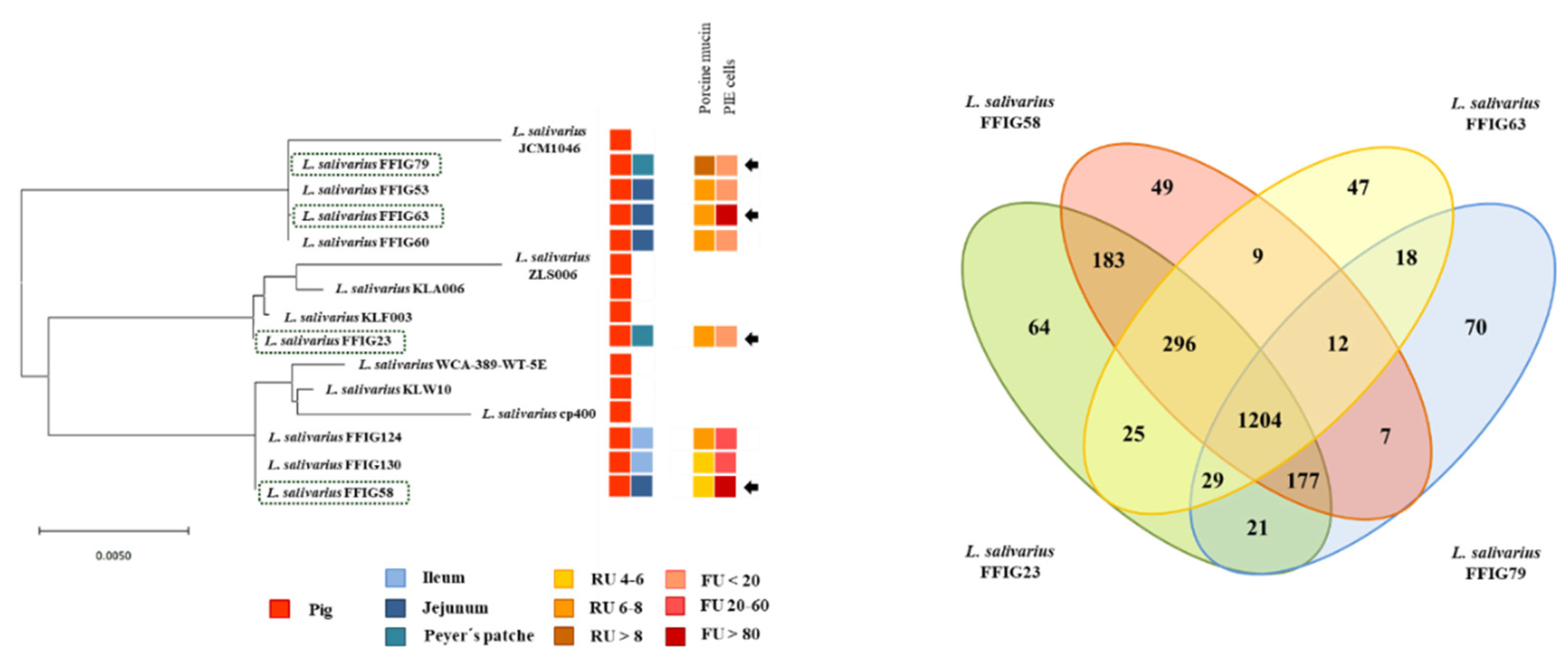 Microorganisms 08 01659 g008