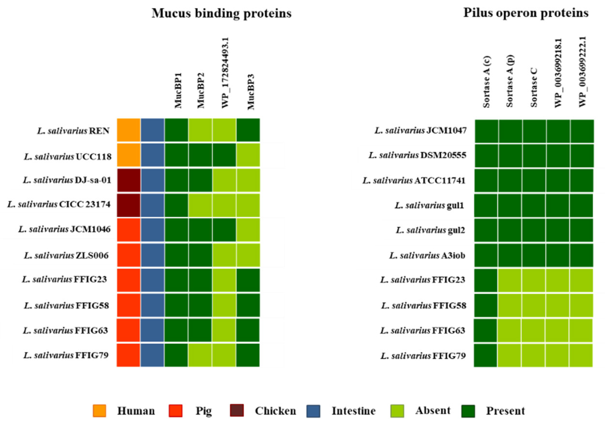 Microorganisms 08 01659 g011