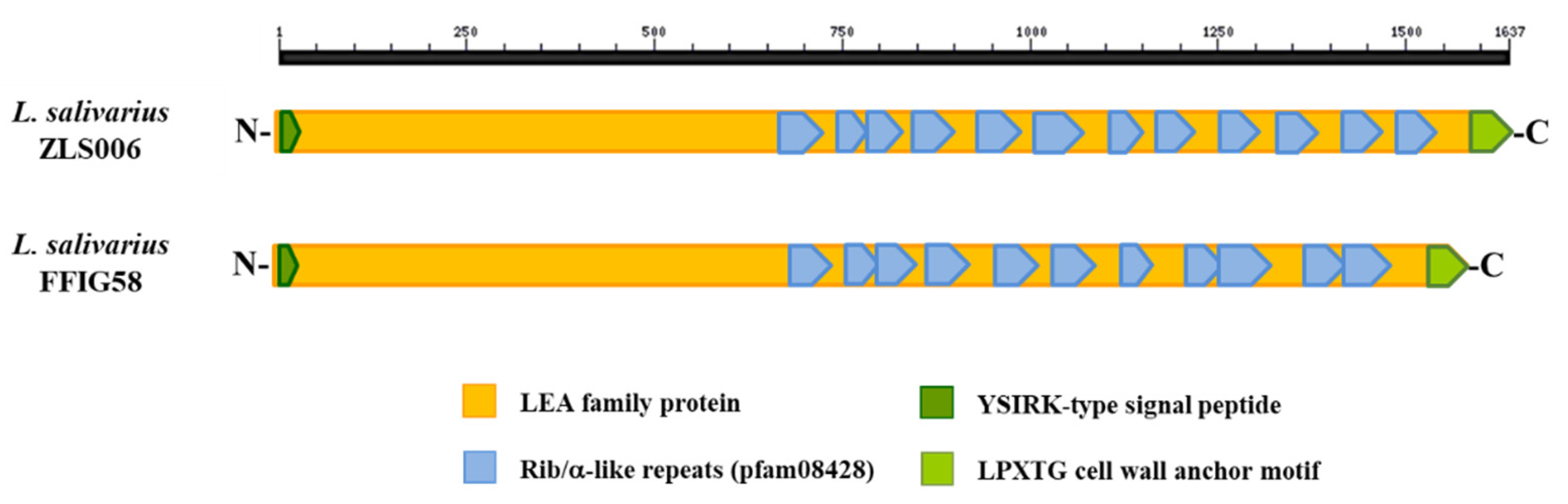 Microorganisms 08 01659 g012