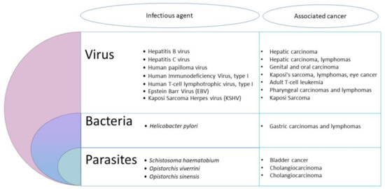 Microorganisms 08 01665 g001 550